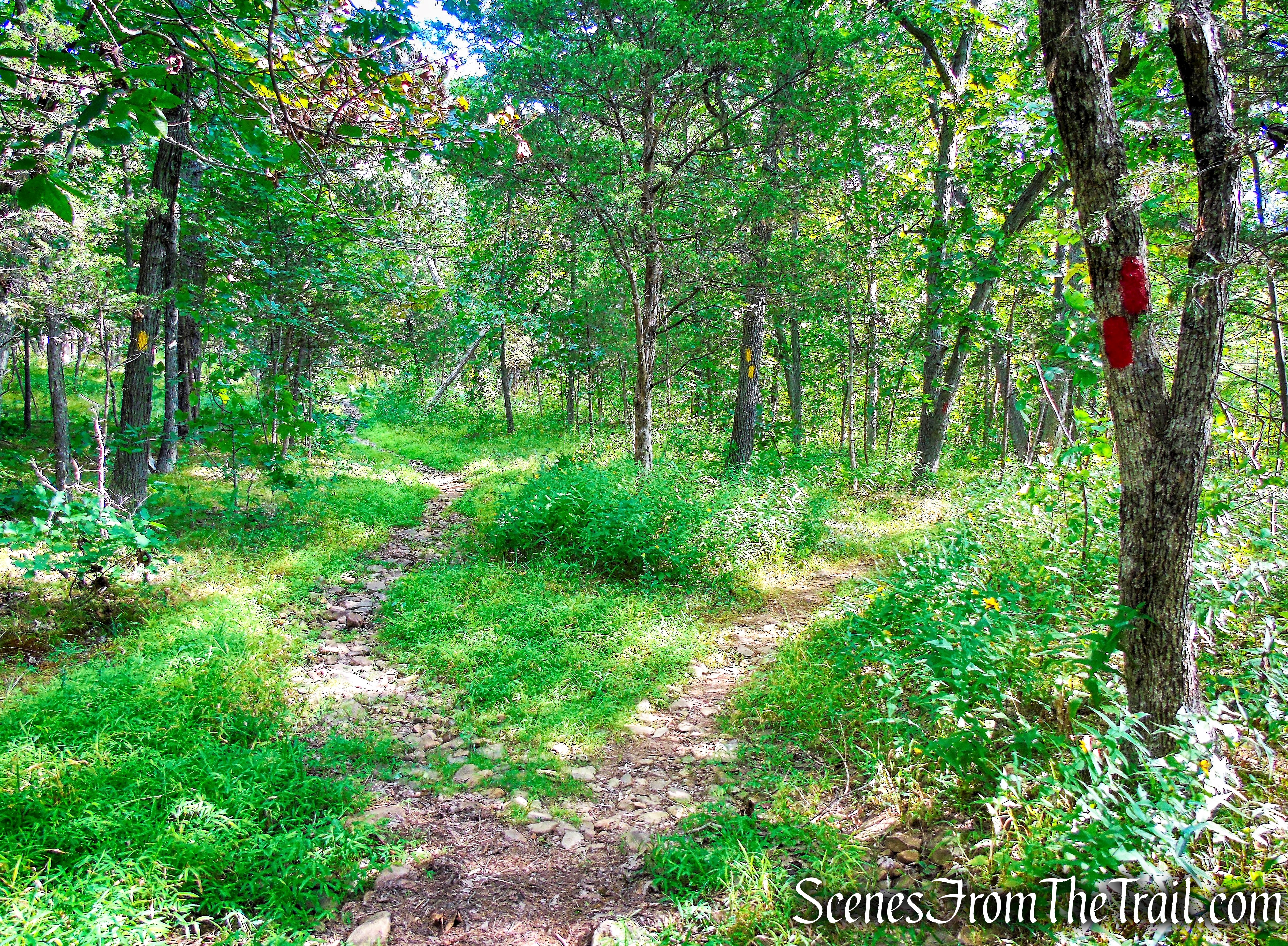 veer left on Yellow Trail