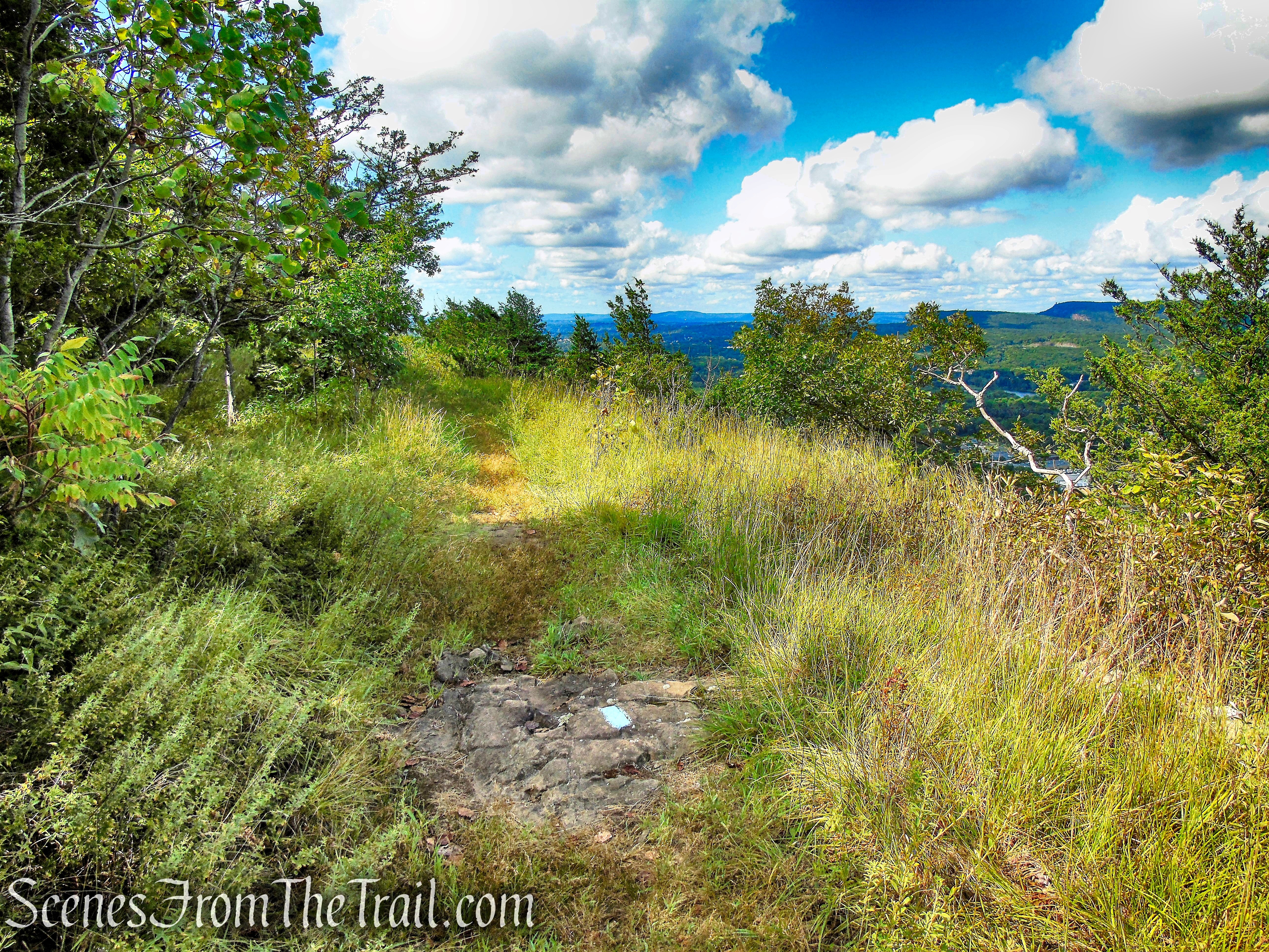 Mattabesett Trail - Mount Lamentation