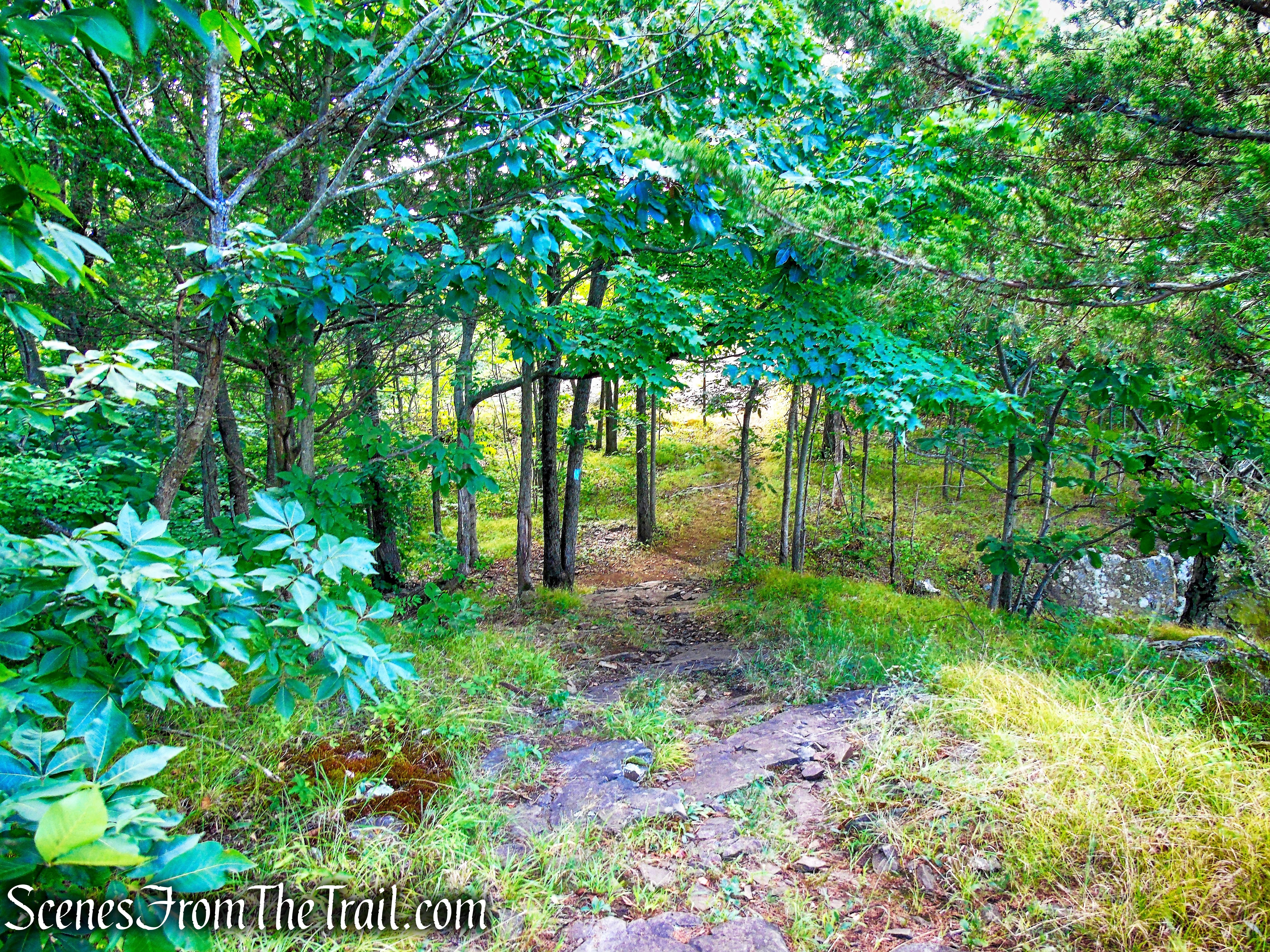 Mattabesett Trail - Mount Lamentation