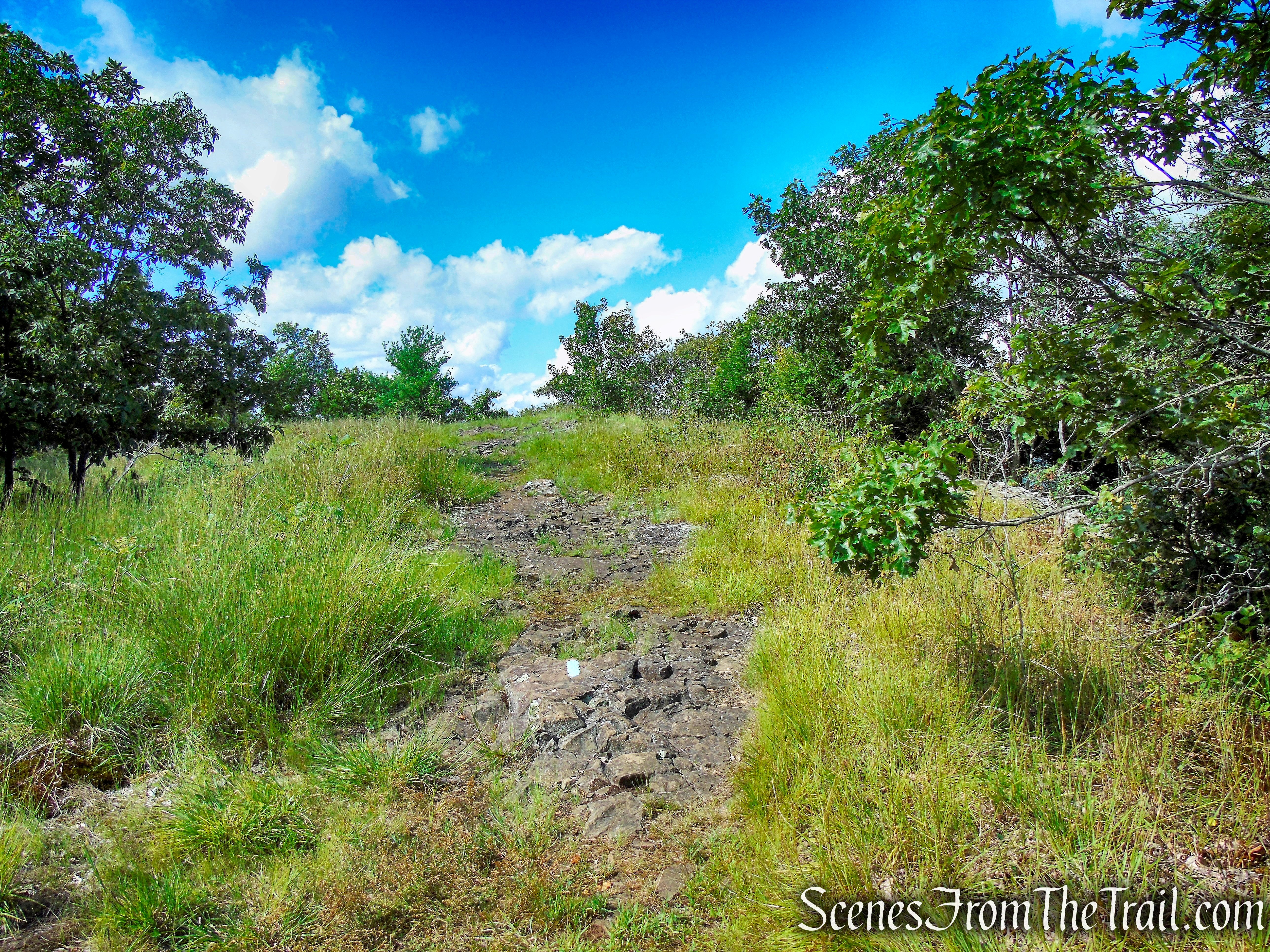 Mattabesett Trail - Mount Lamentation