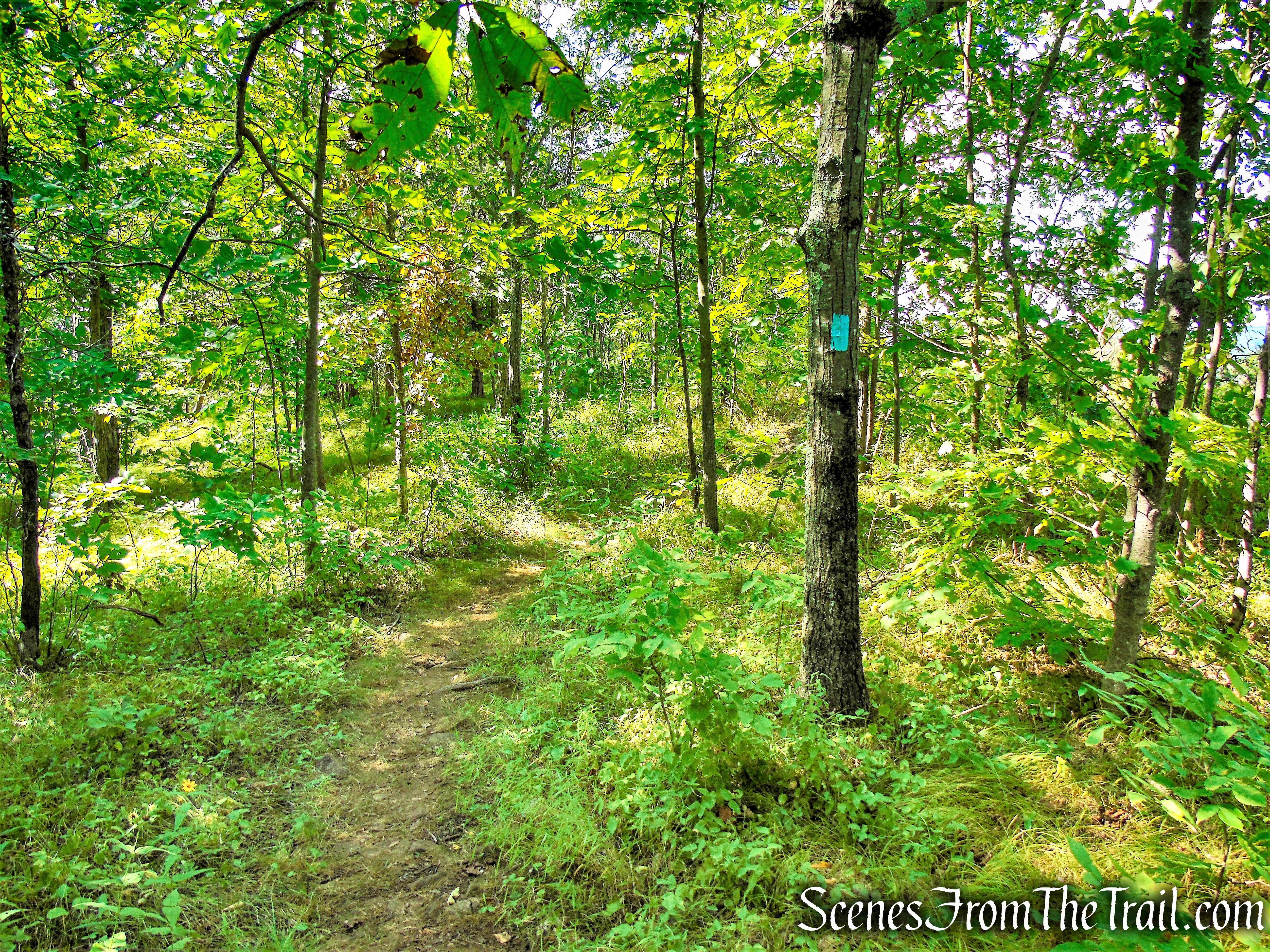 Mattabesett Trail - Mount Lamentation