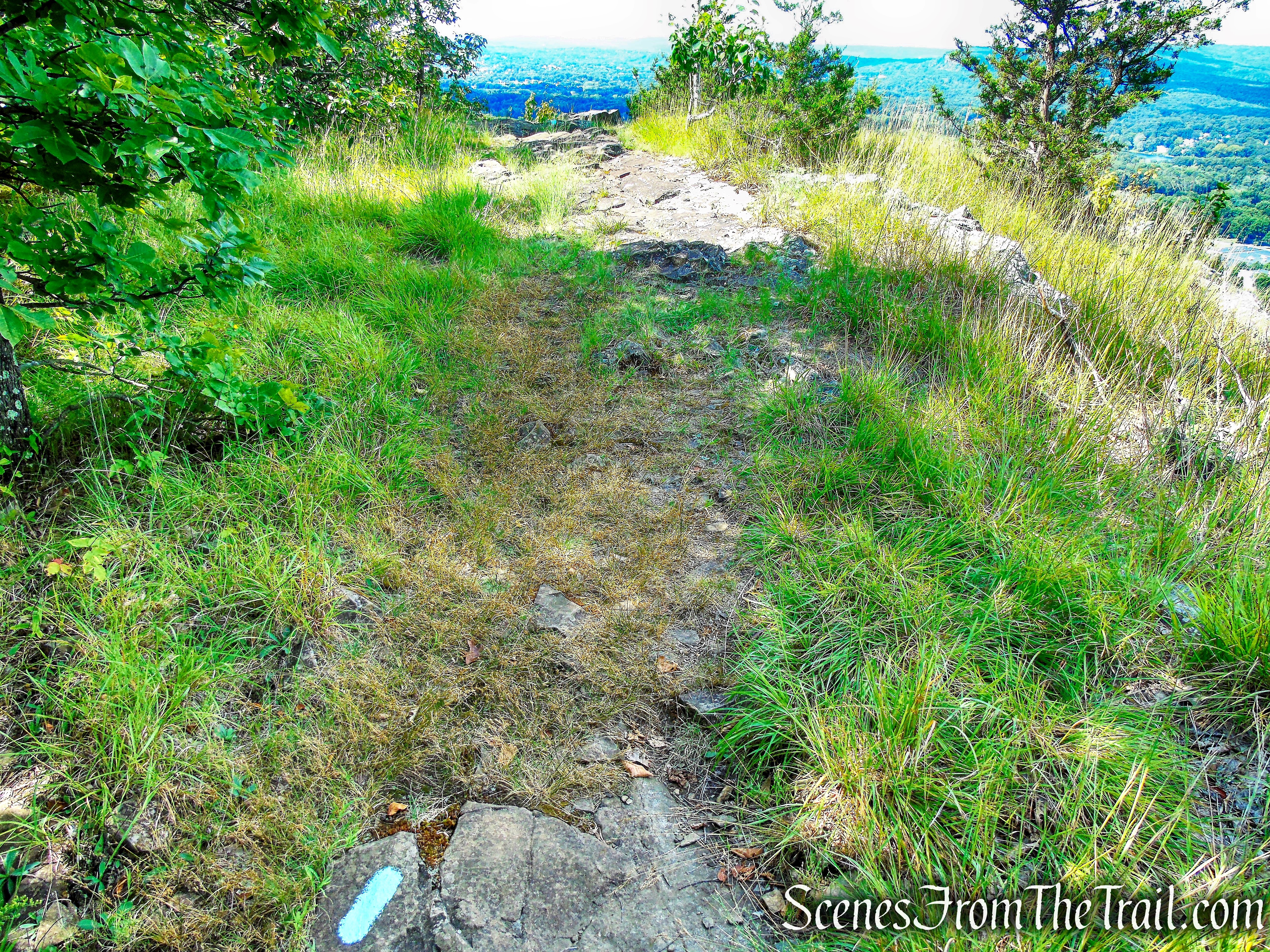 Mattabesett Trail - Mount Lamentation
