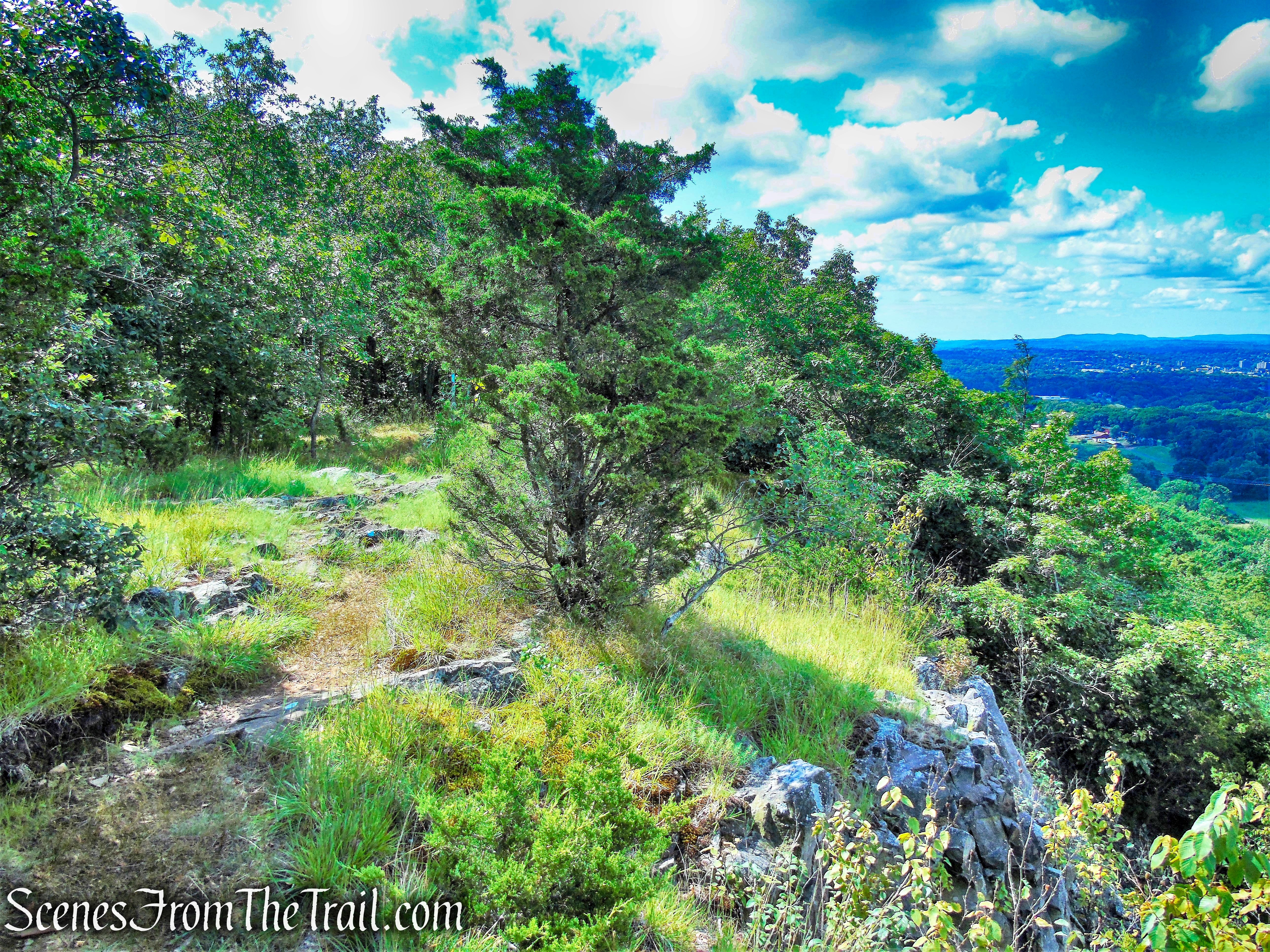 Mattabesett Trail - Mount Lamentation