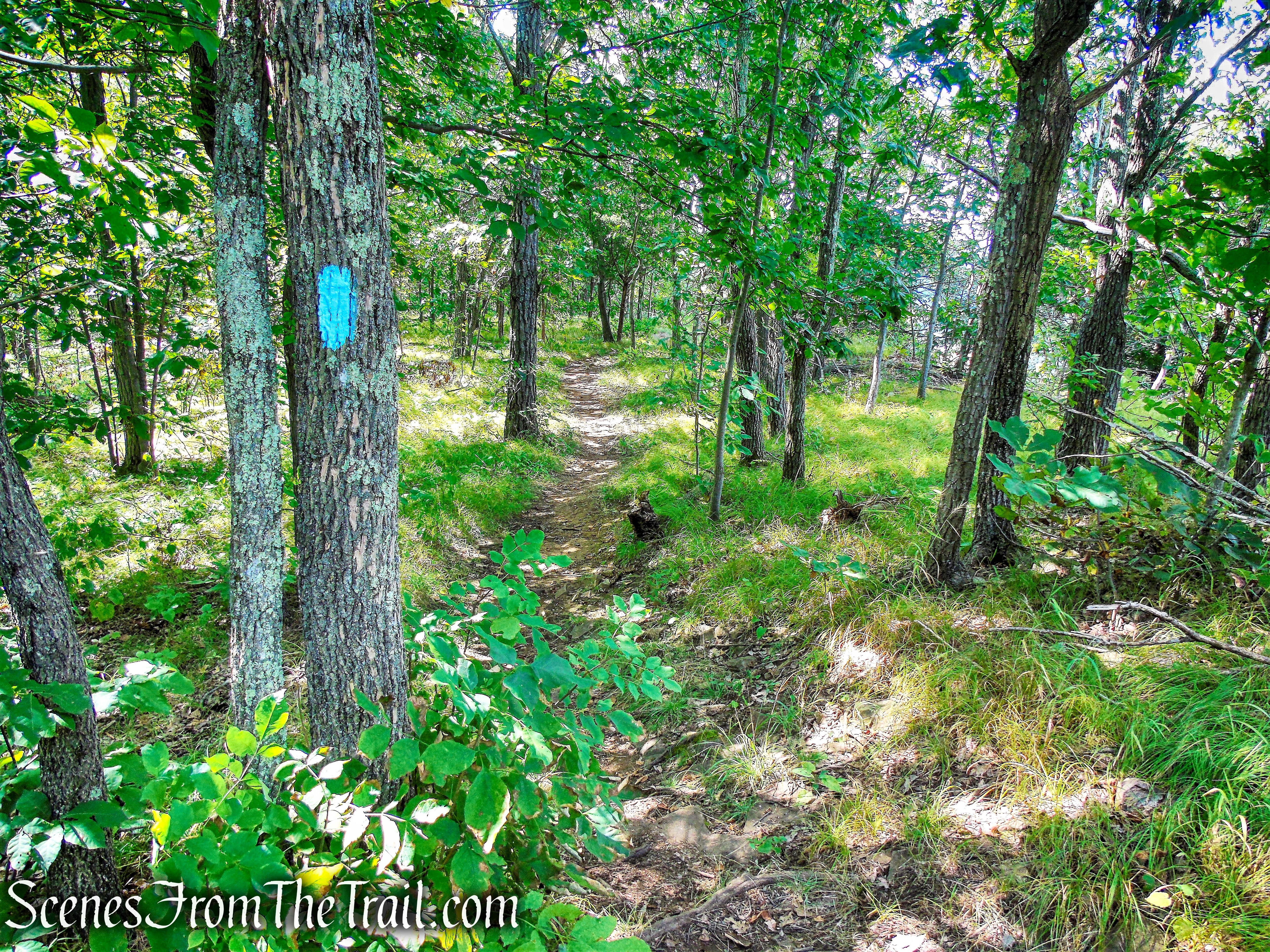 Mattabesett Trail - Mount Lamentation