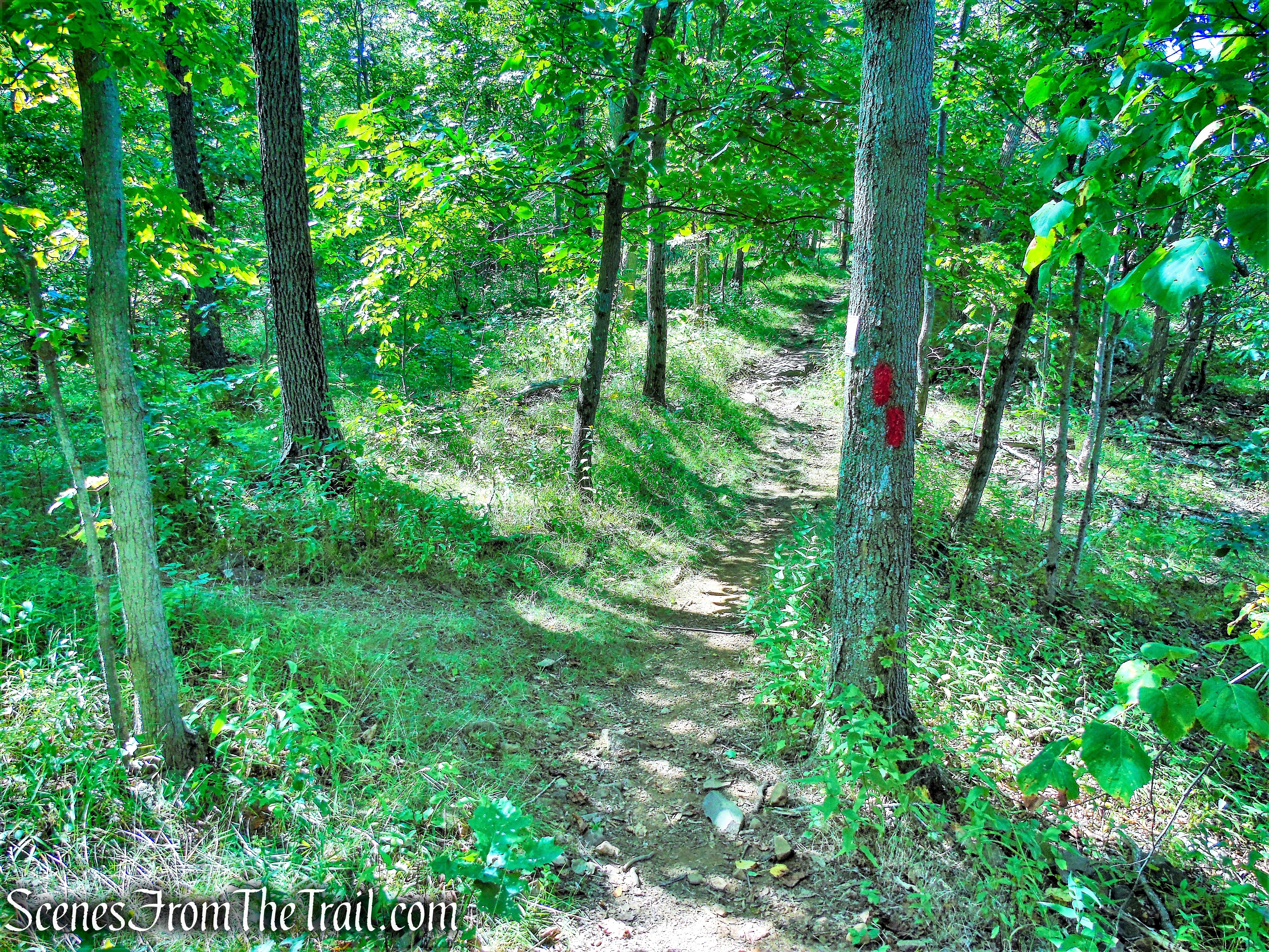 Mattabesett Trail - Mount Lamentation