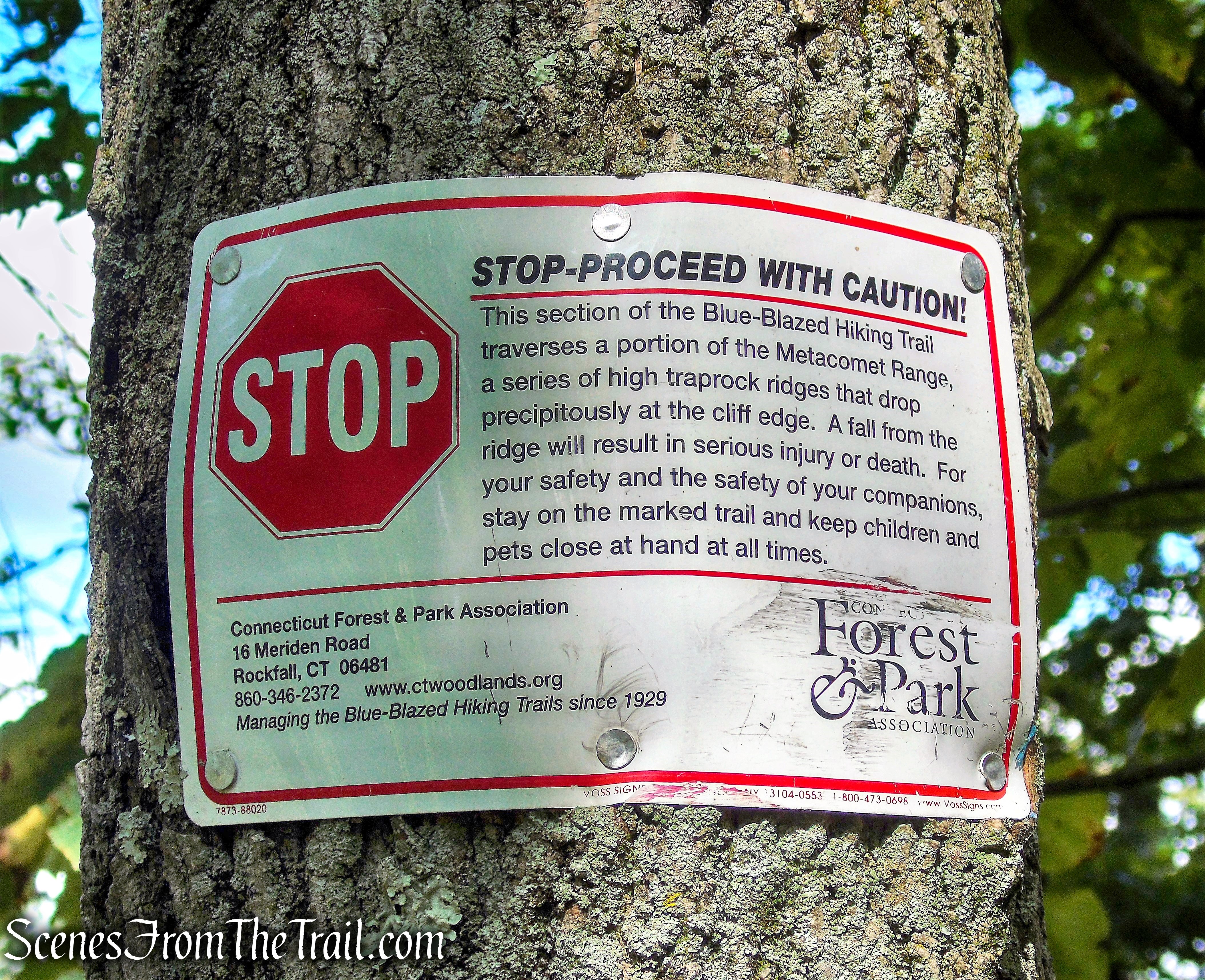 Mattabesett Trail - Mount Lamentation