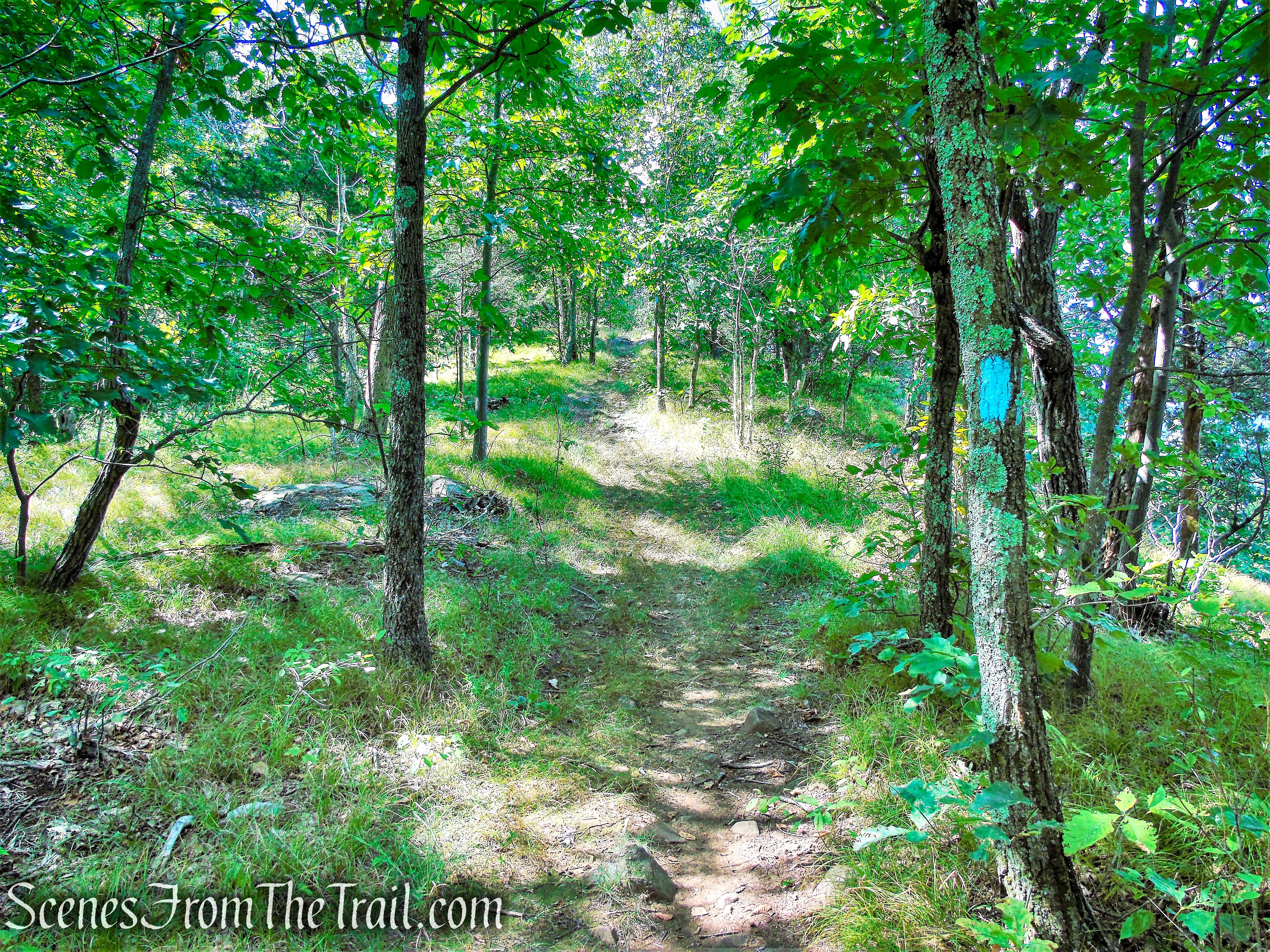 Mattabesett Trail - Mount Lamentation