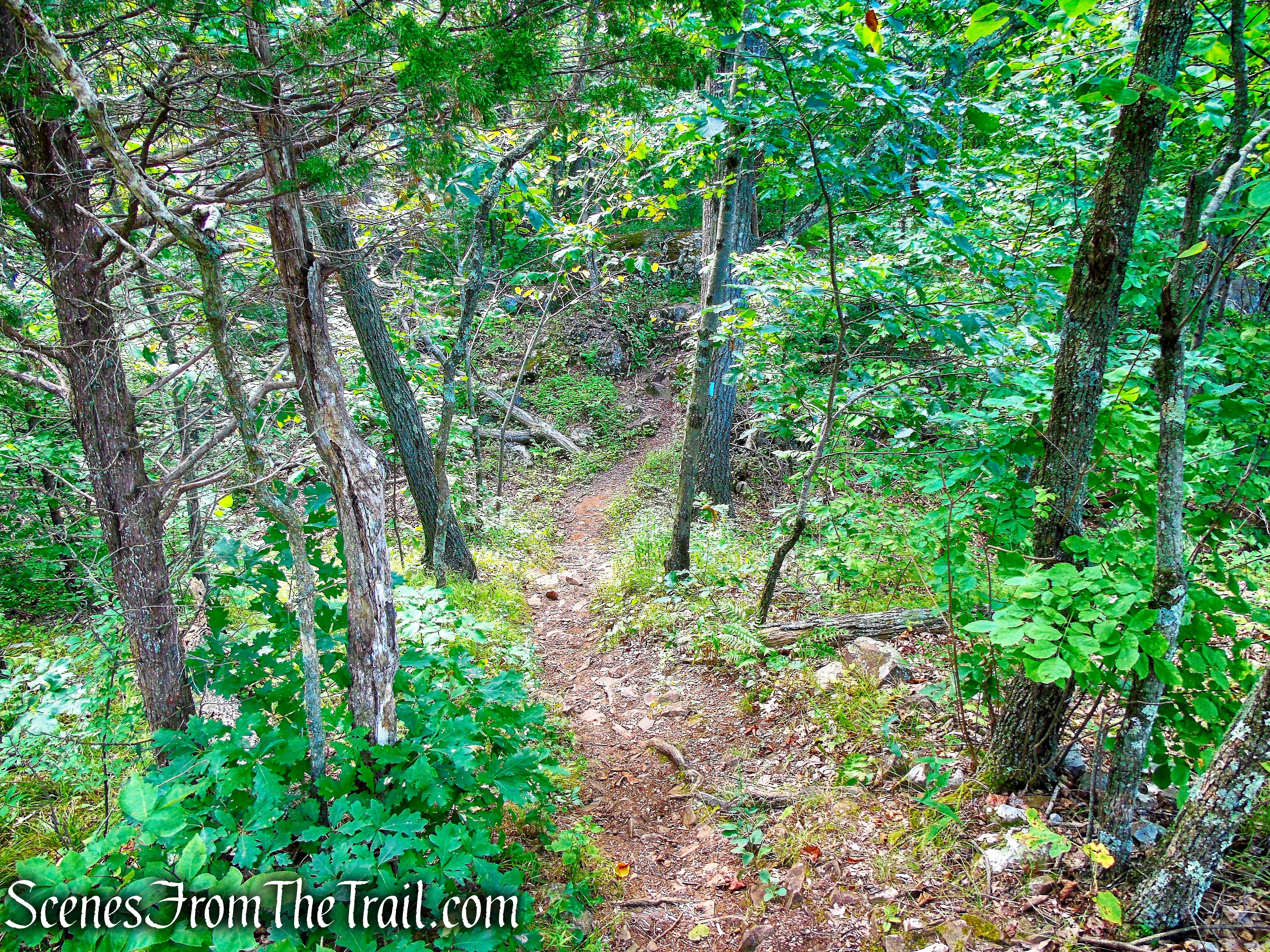 Mattabesett Trail - Mount Lamentation