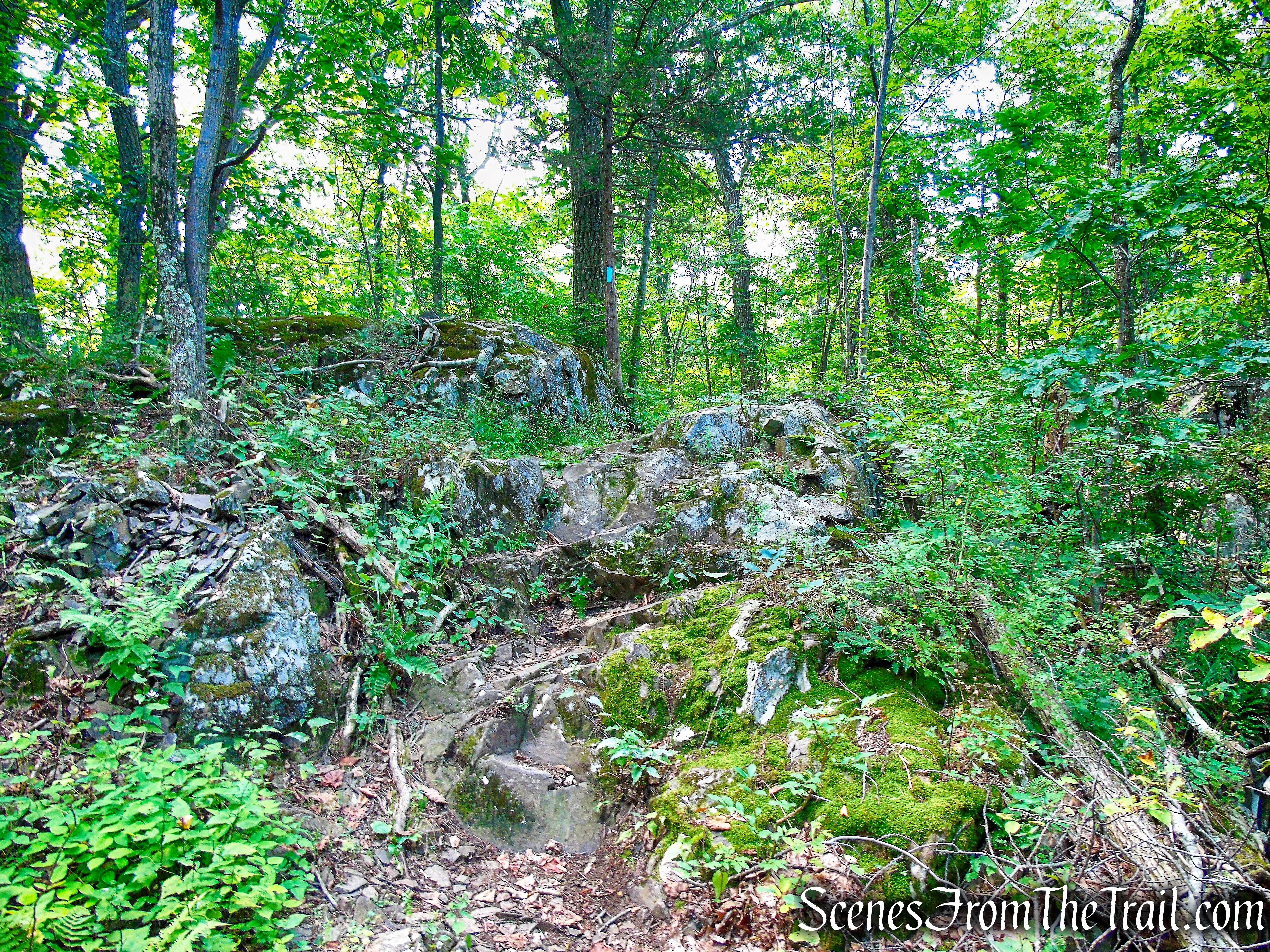 Mattabesett Trail - Mount Lamentation