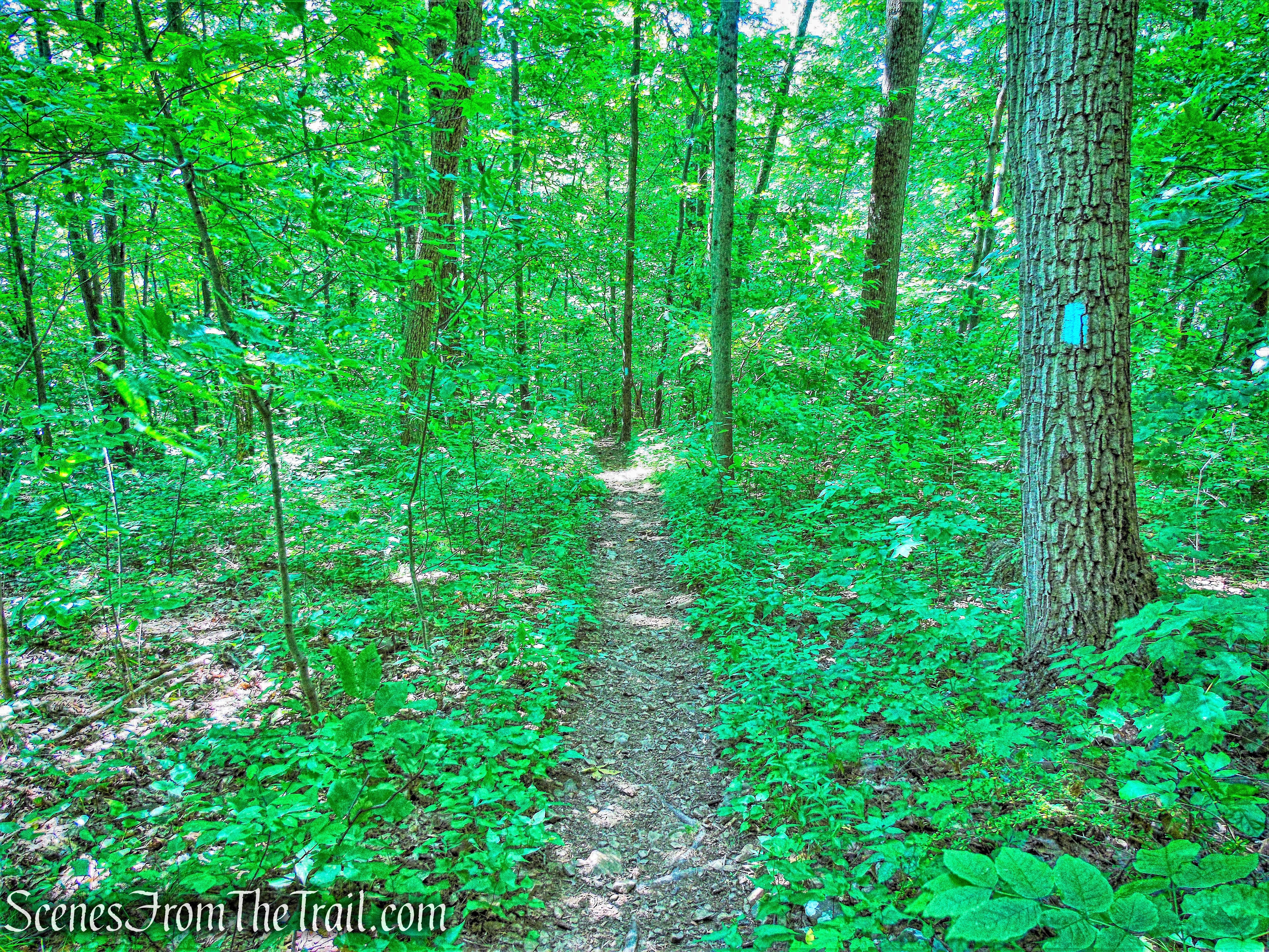 Mattabesett Trail - Mount Lamentation
