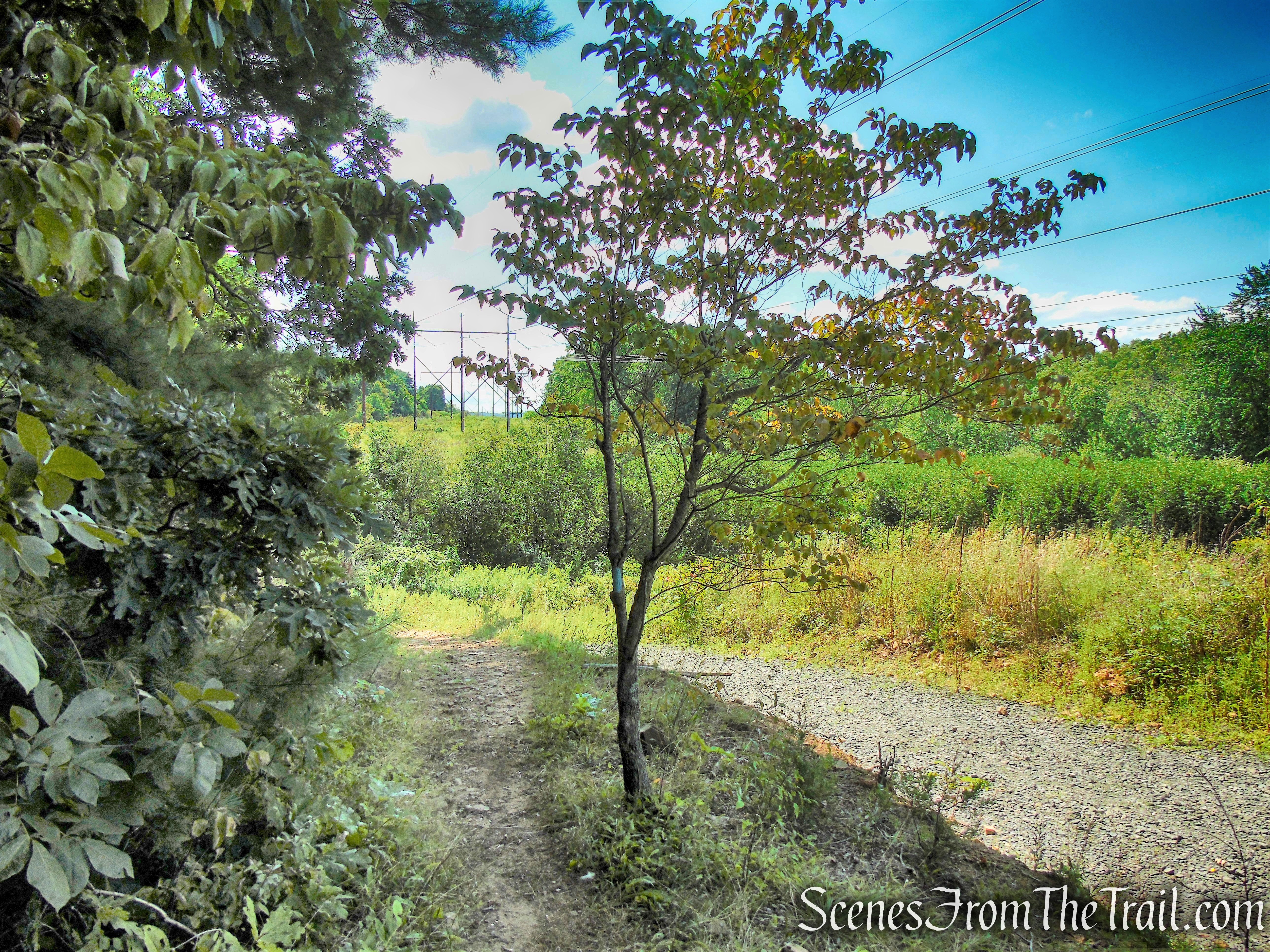 Mattabesett Trail - Giuffrida Park