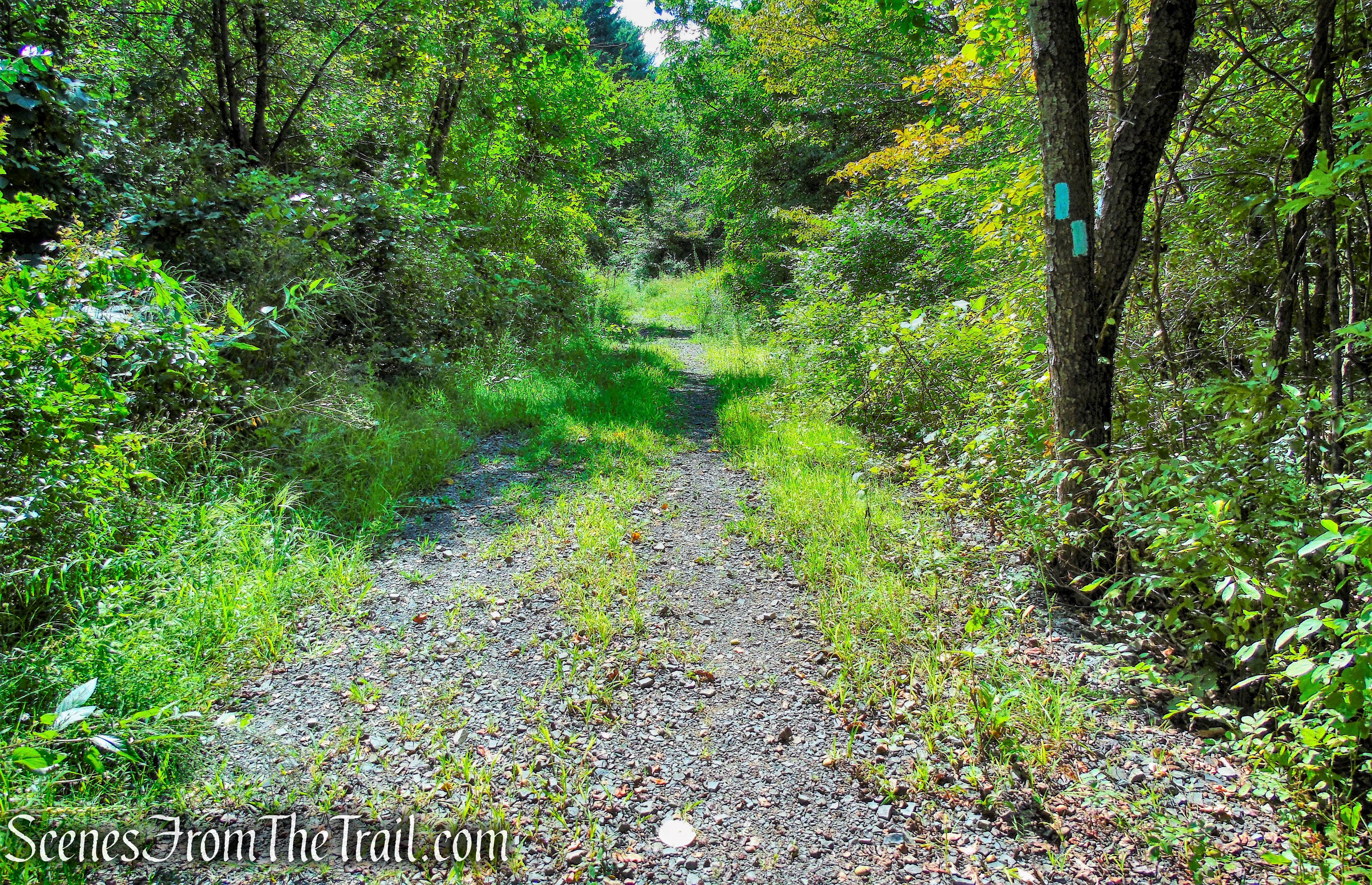 turn left on Mattabesett Trail - Giuffrida Park