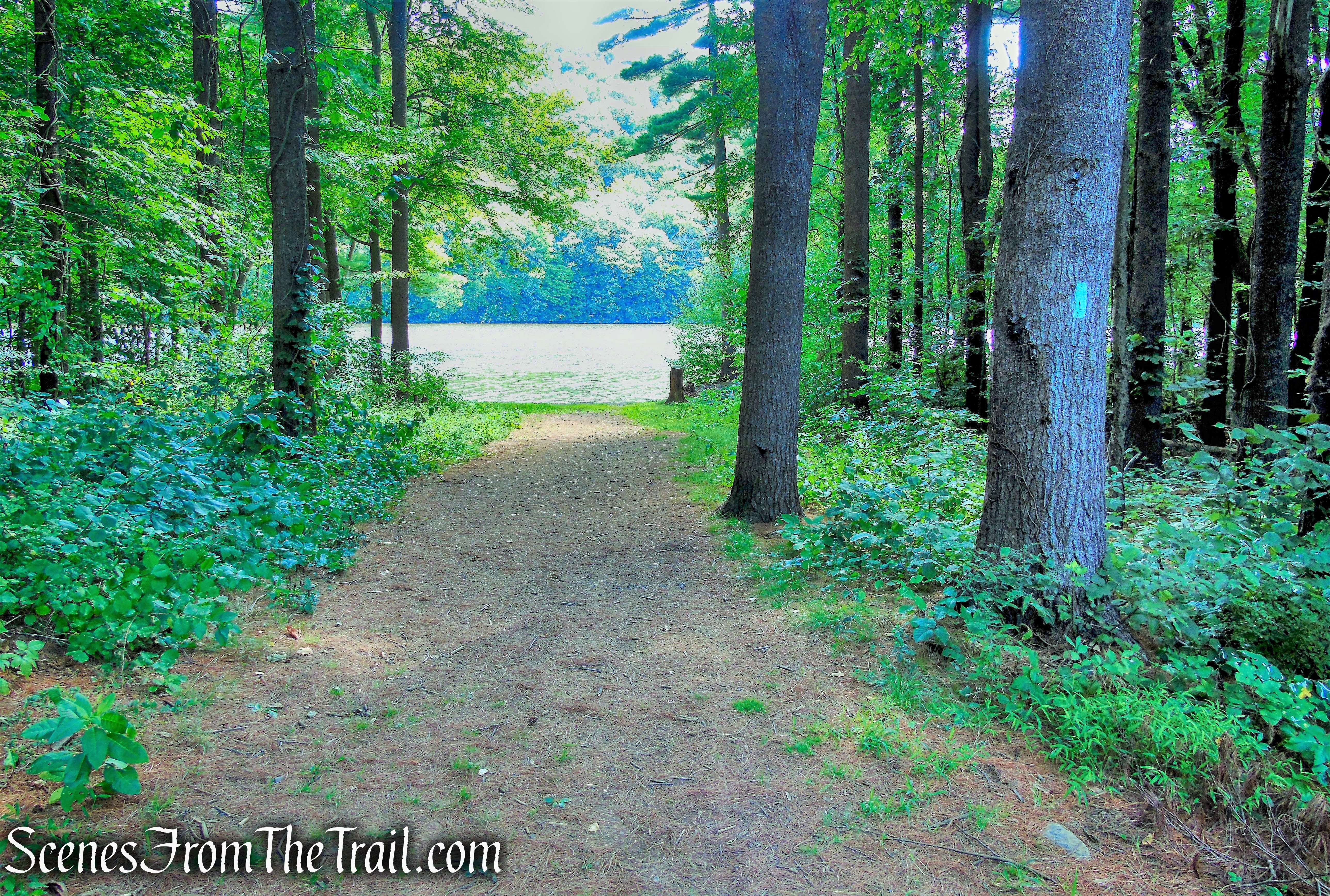 Mattabesett Trail - Giuffrida Park