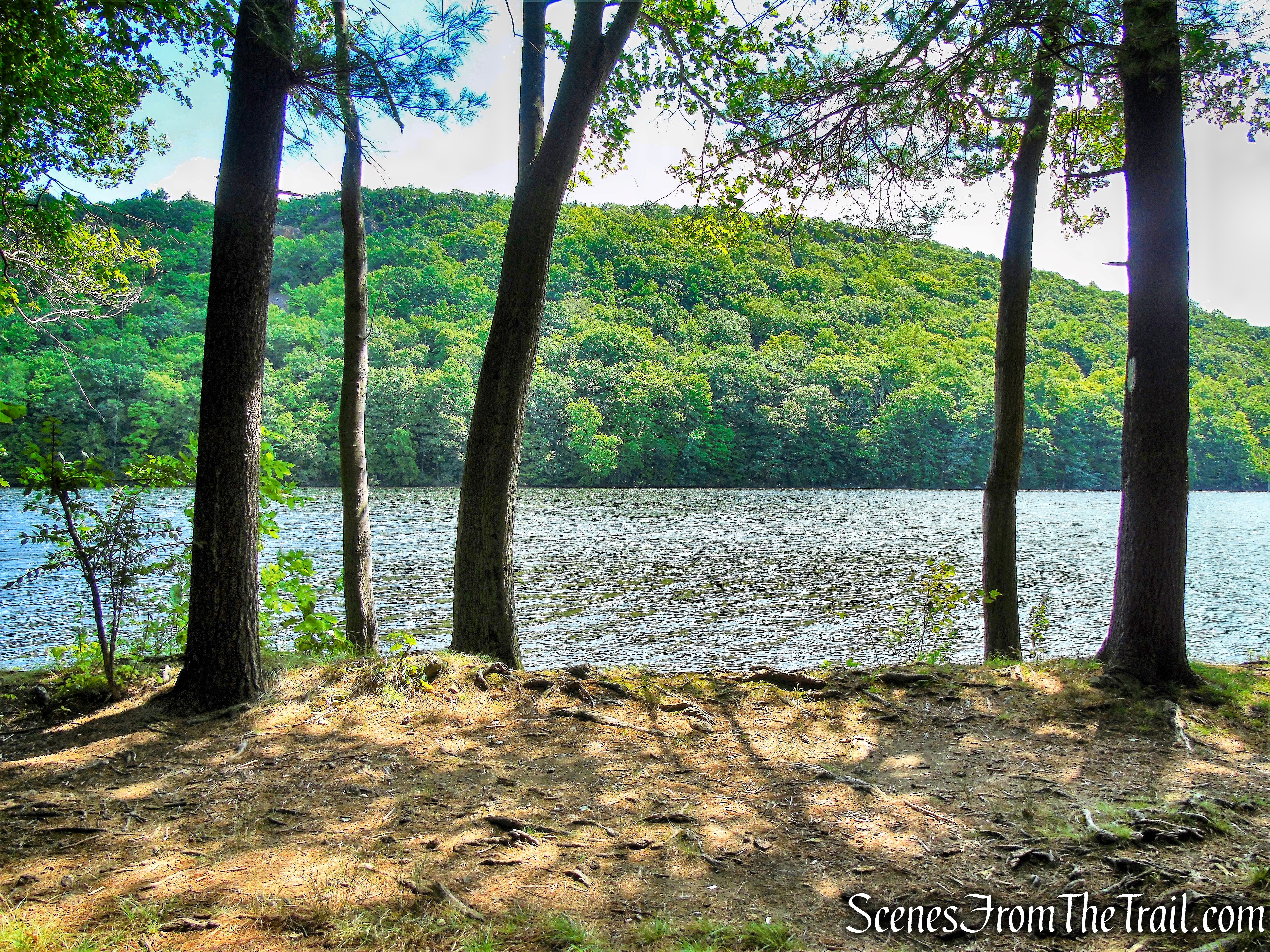 Mattabesett Trail - Giuffrida Park