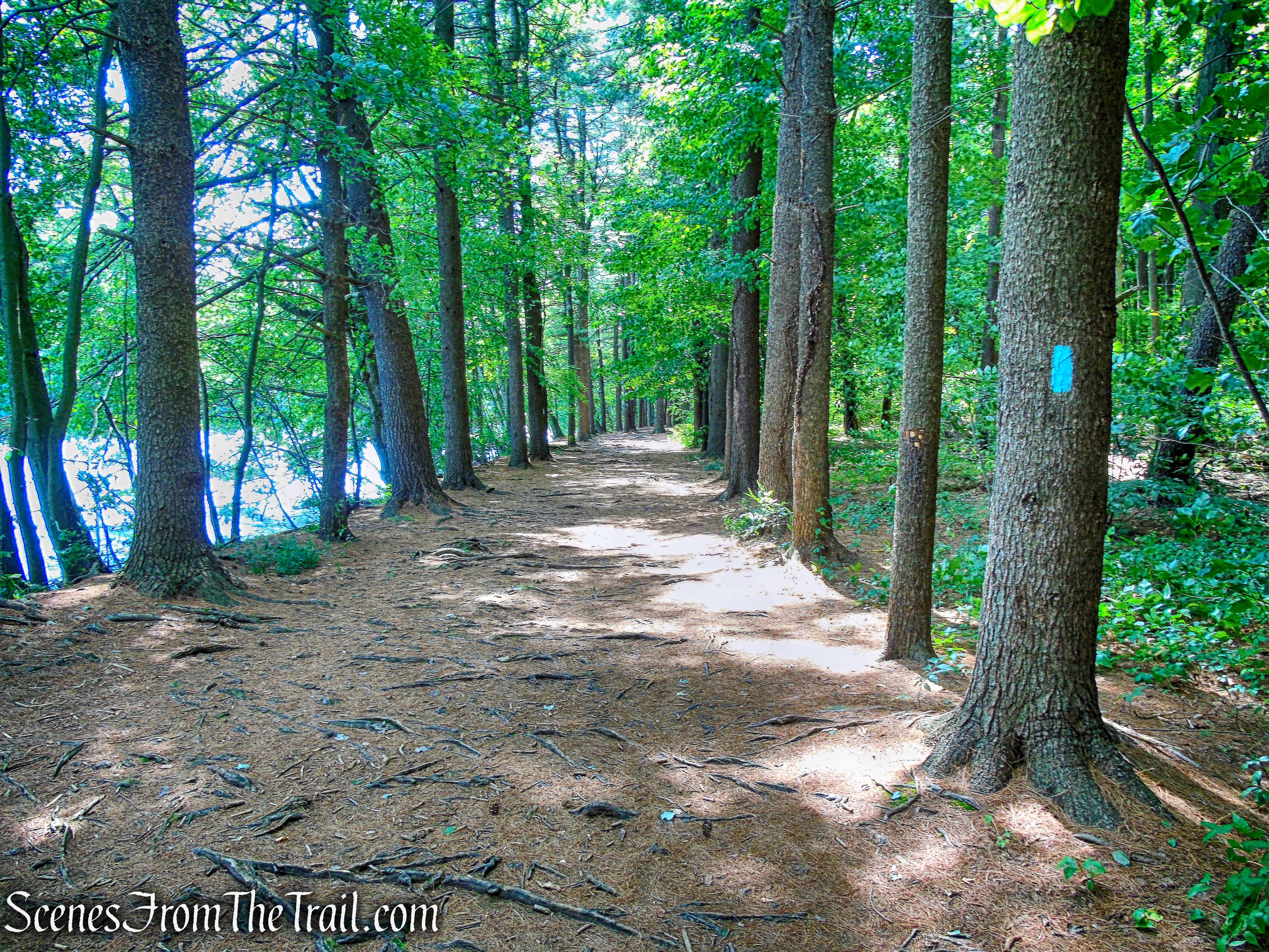 Mattabesett Trail - Giuffrida Park