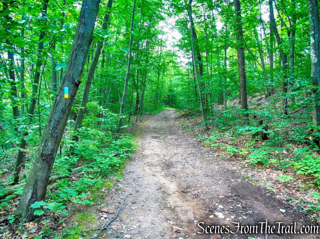 Cream Pot Road Access Trail - Mica Ledges Preserve