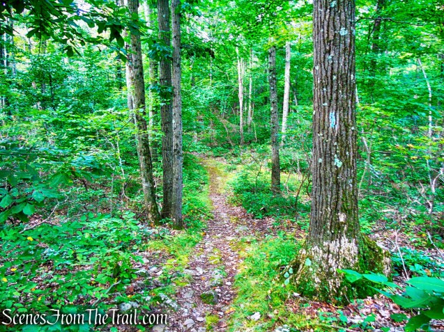 Mattabesett Trail - Mica Ledges Preserve