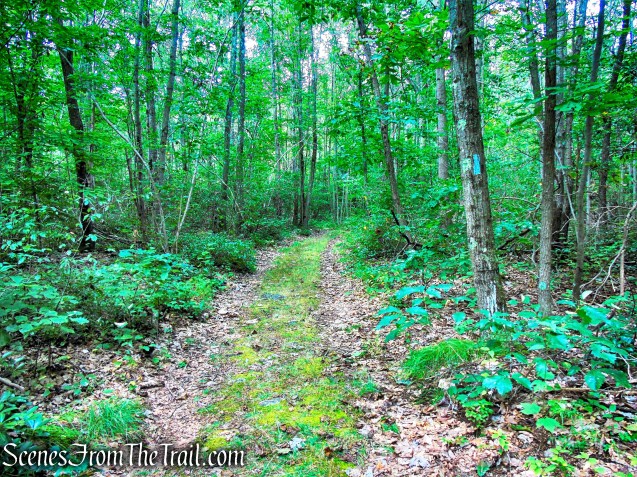 Mattabesett Trail - Mica Ledges Preserve
