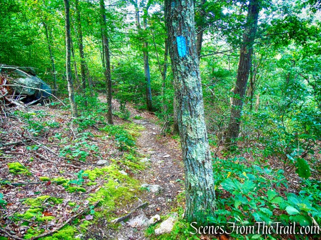 Mattabesett Trail - Mica Ledges Preserve