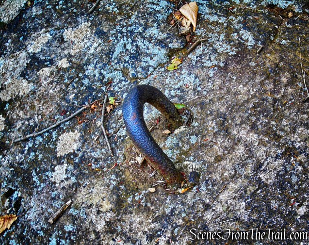 Old AT - Anthony’s Nose