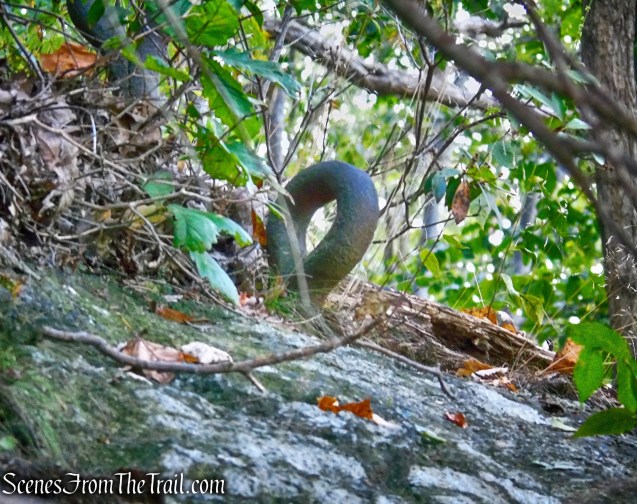 Old AT - Anthony’s Nose