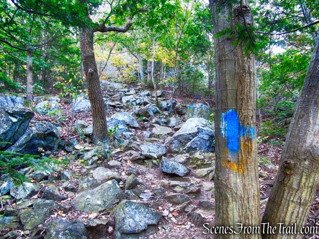 Old AT - Anthony’s Nose