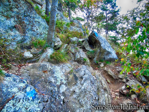 Old AT - Anthony’s Nose