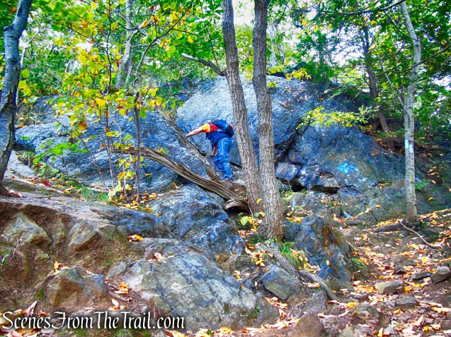 Old AT - Anthony’s Nose