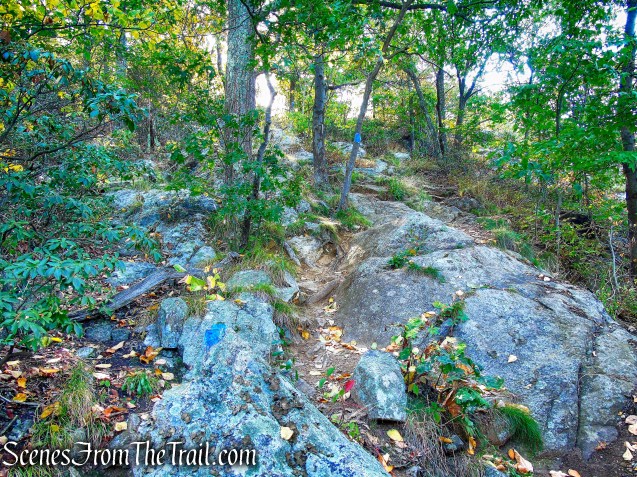 Old AT - Anthony’s Nose