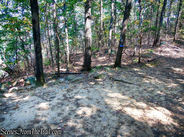 turn left on Appalachian Trail