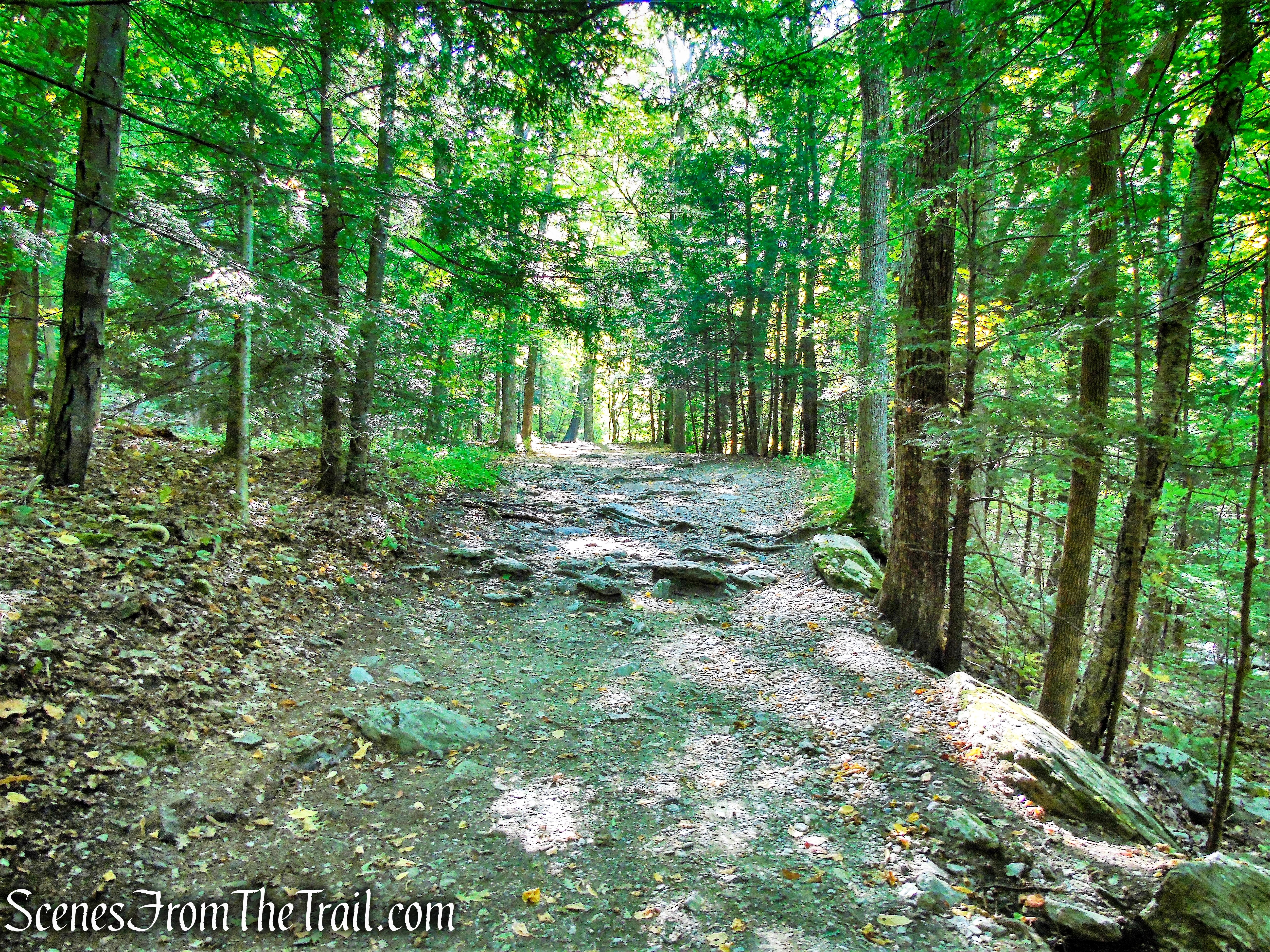Bash Bish Falls Trail