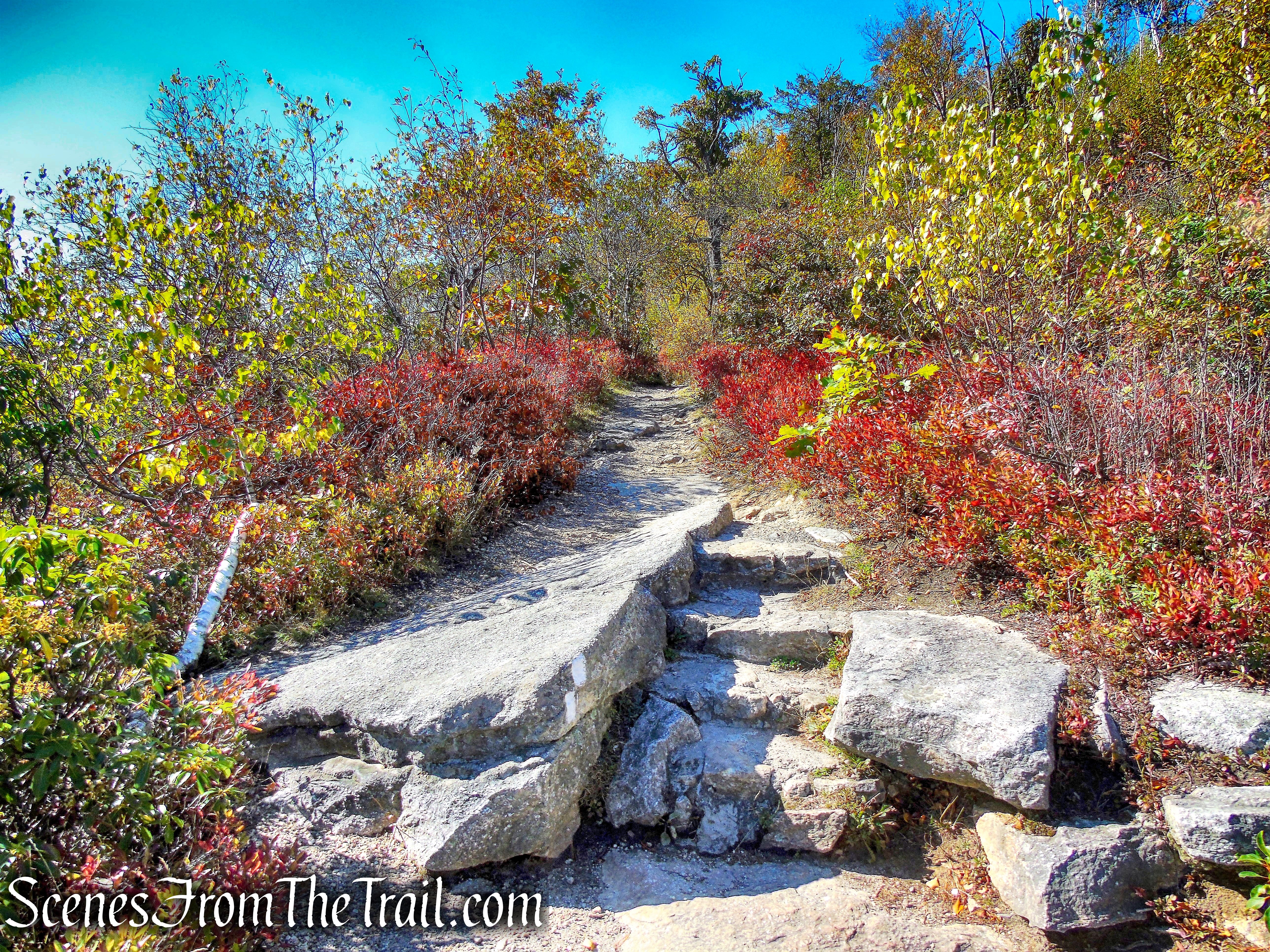 Ice Caves Loop Trail - Sam's Point Preserve