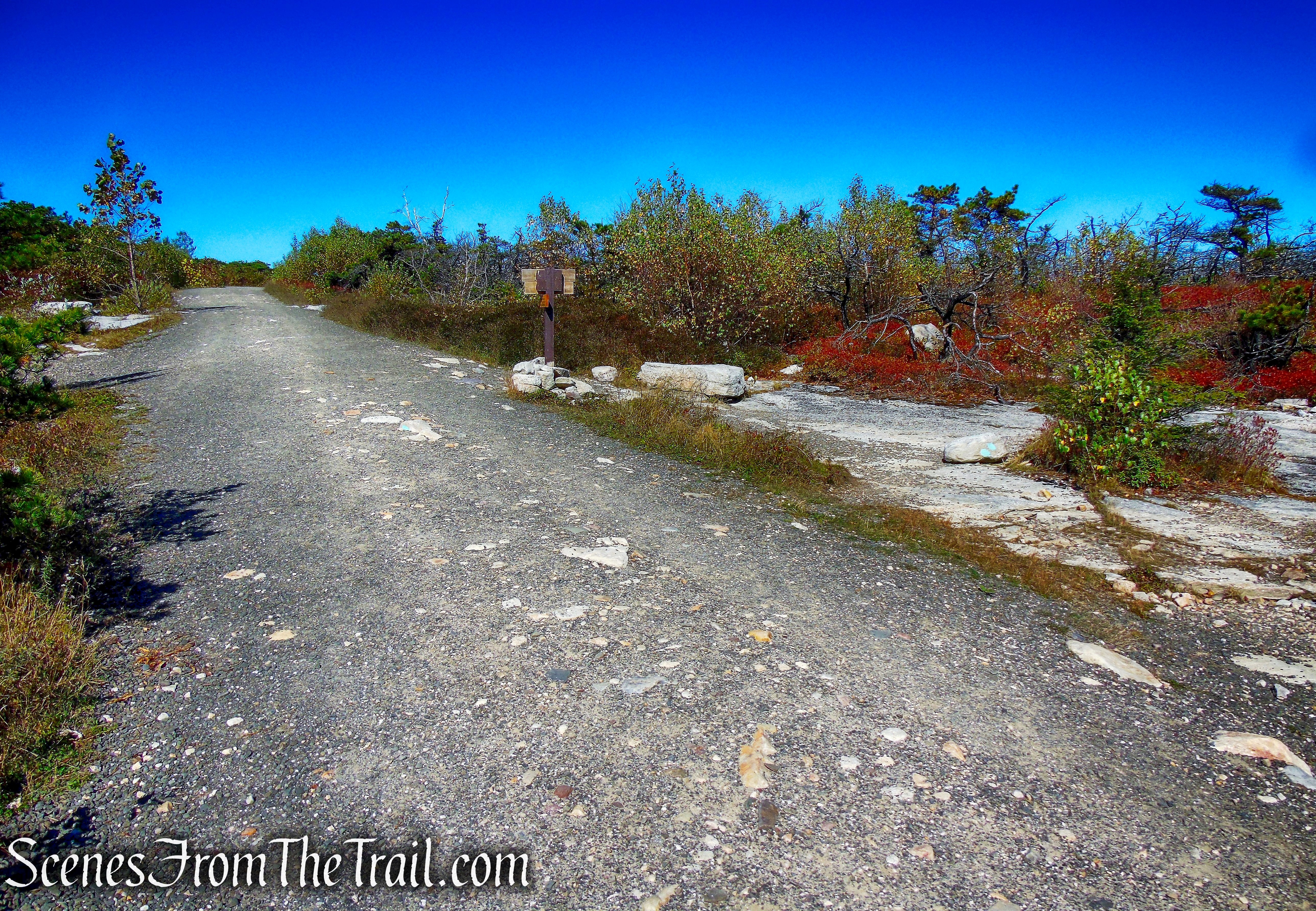 Ice Caves Road - Sam's Point Preserve