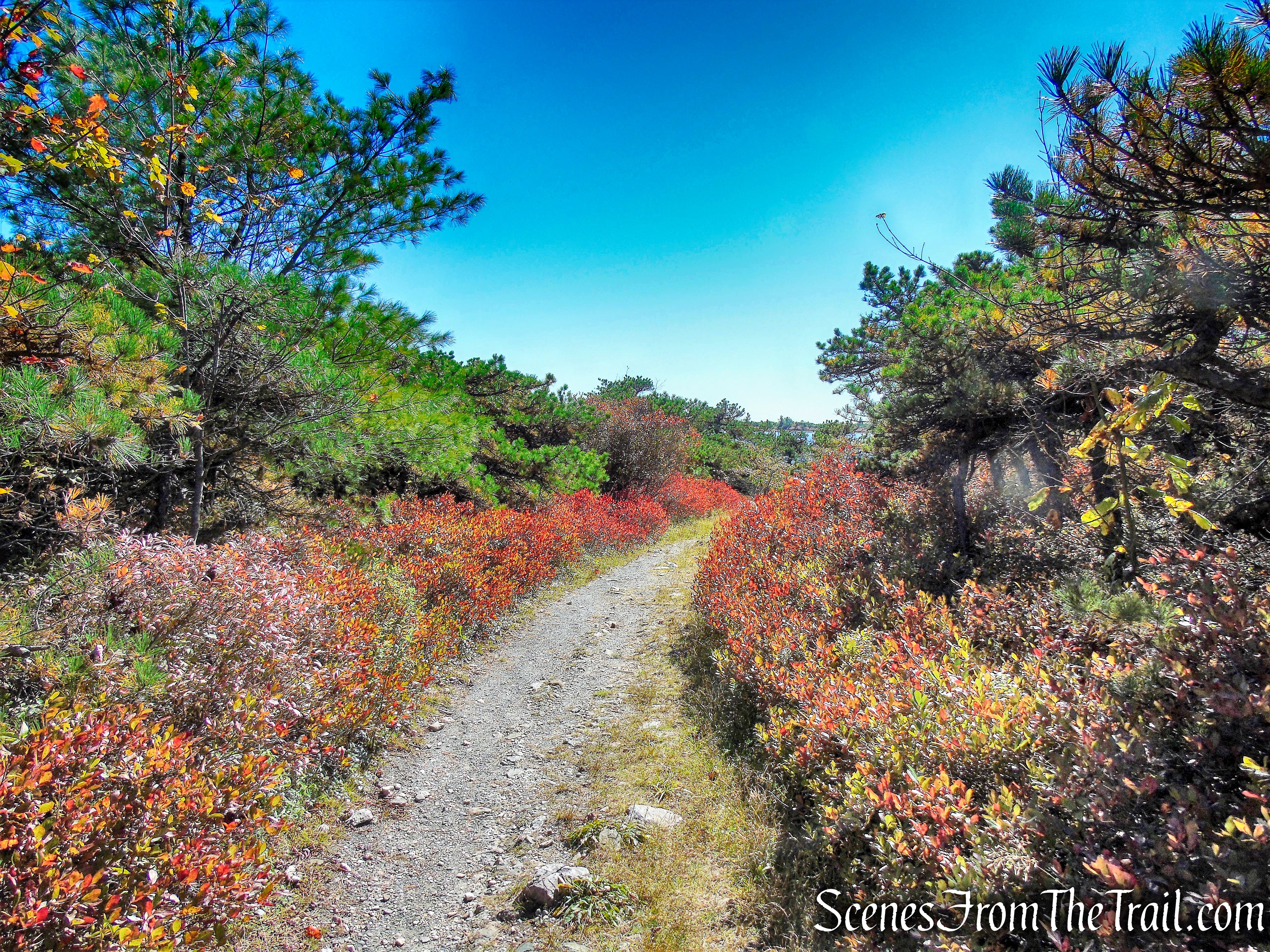 unmarked footpath - Sam's Point Preserve