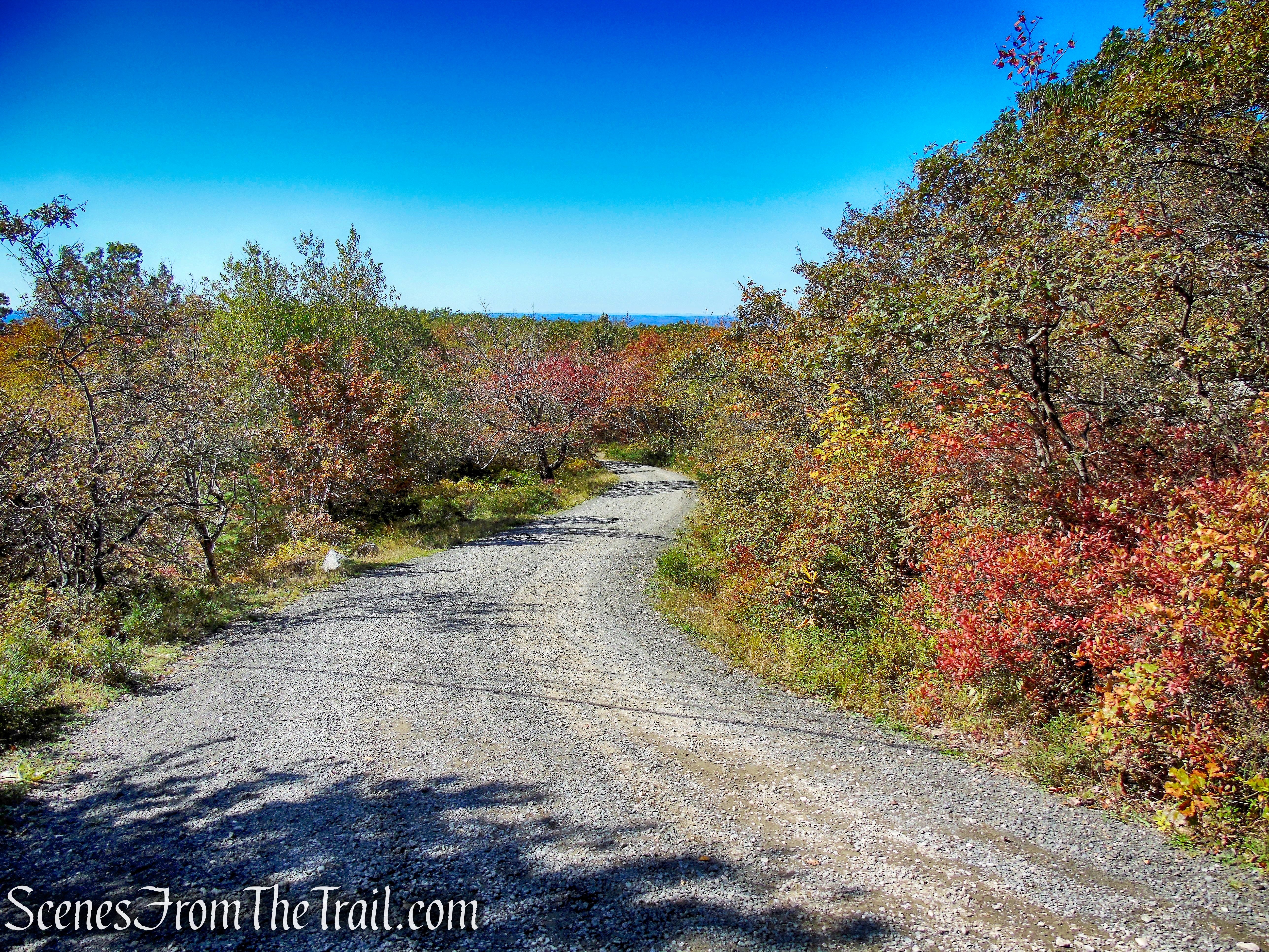 Loop Road - Sam's Point Preserve