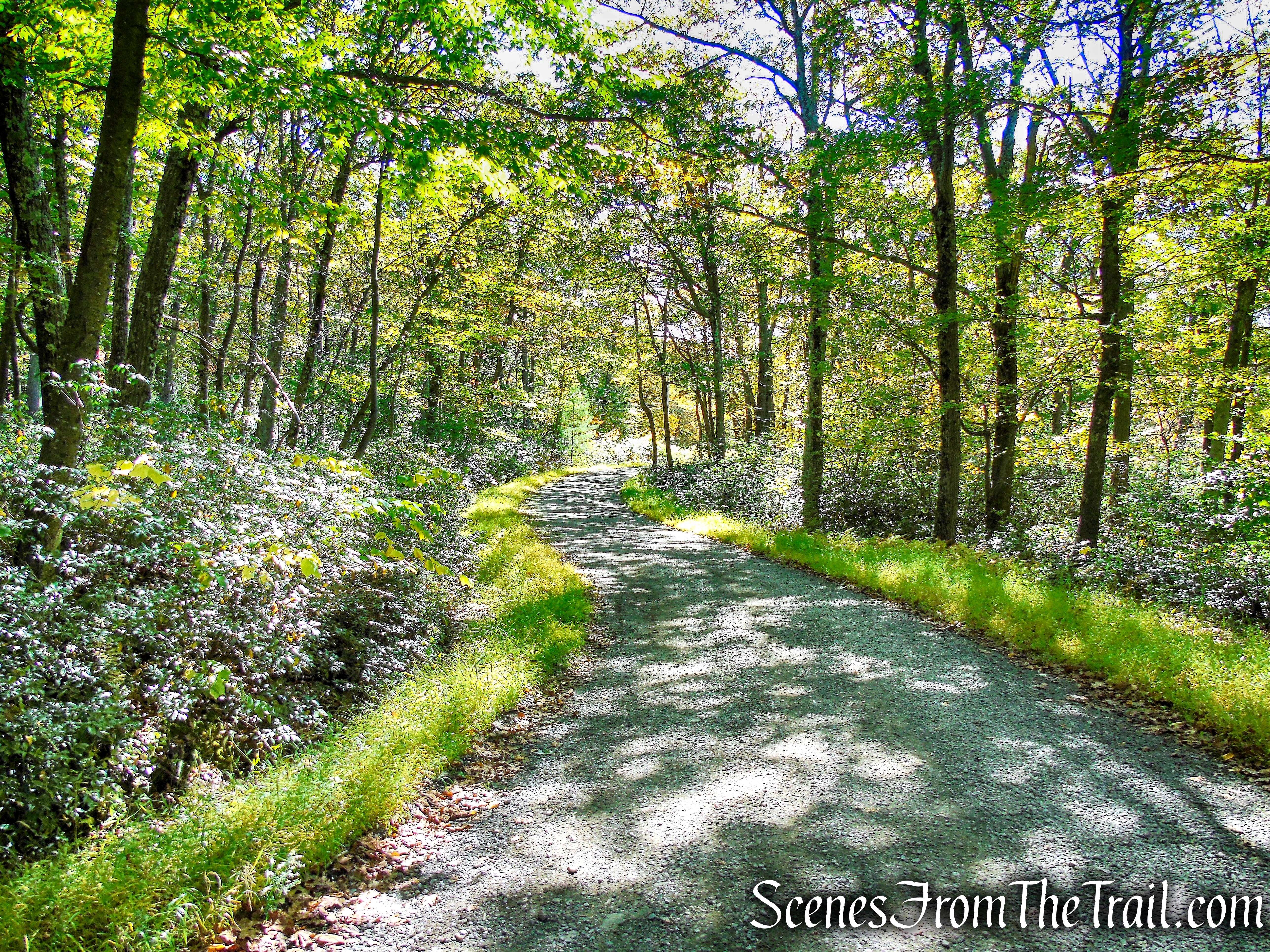 Loop Road - Sam's Point Preserve