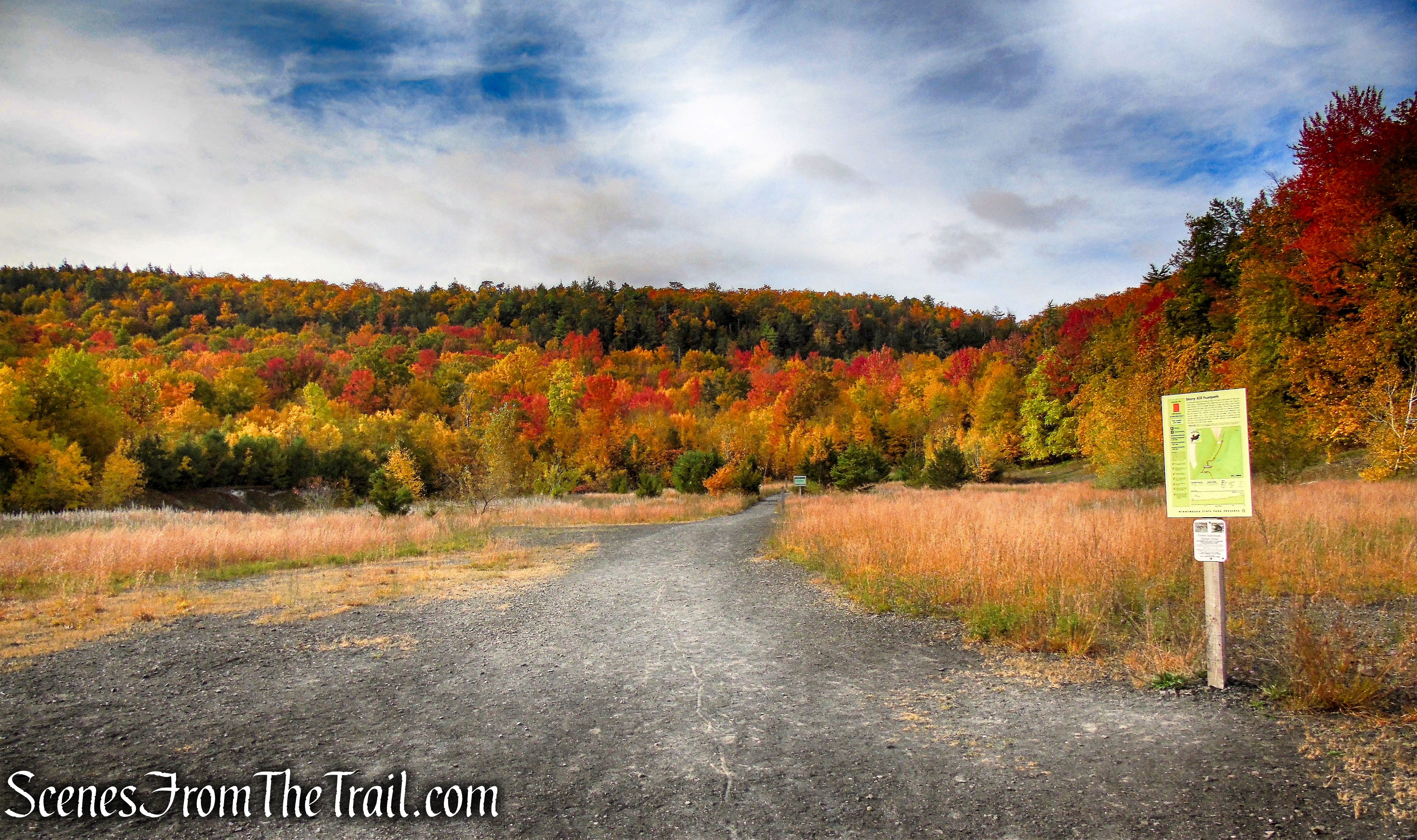 Stony Kill Footpath - Minnewaska State Park Preserve
