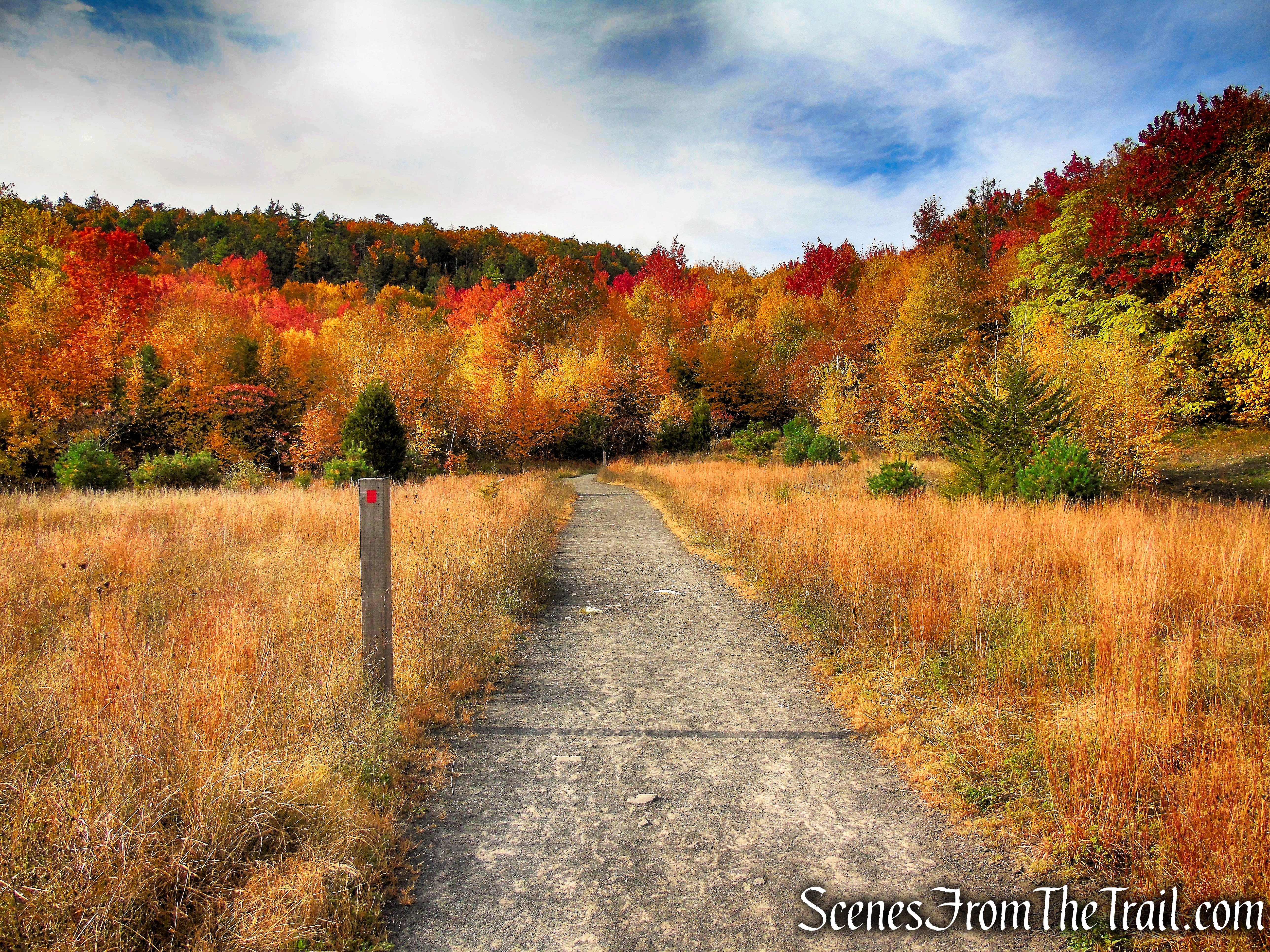 Stony Kill Footpath - Minnewaska State Park Preserve