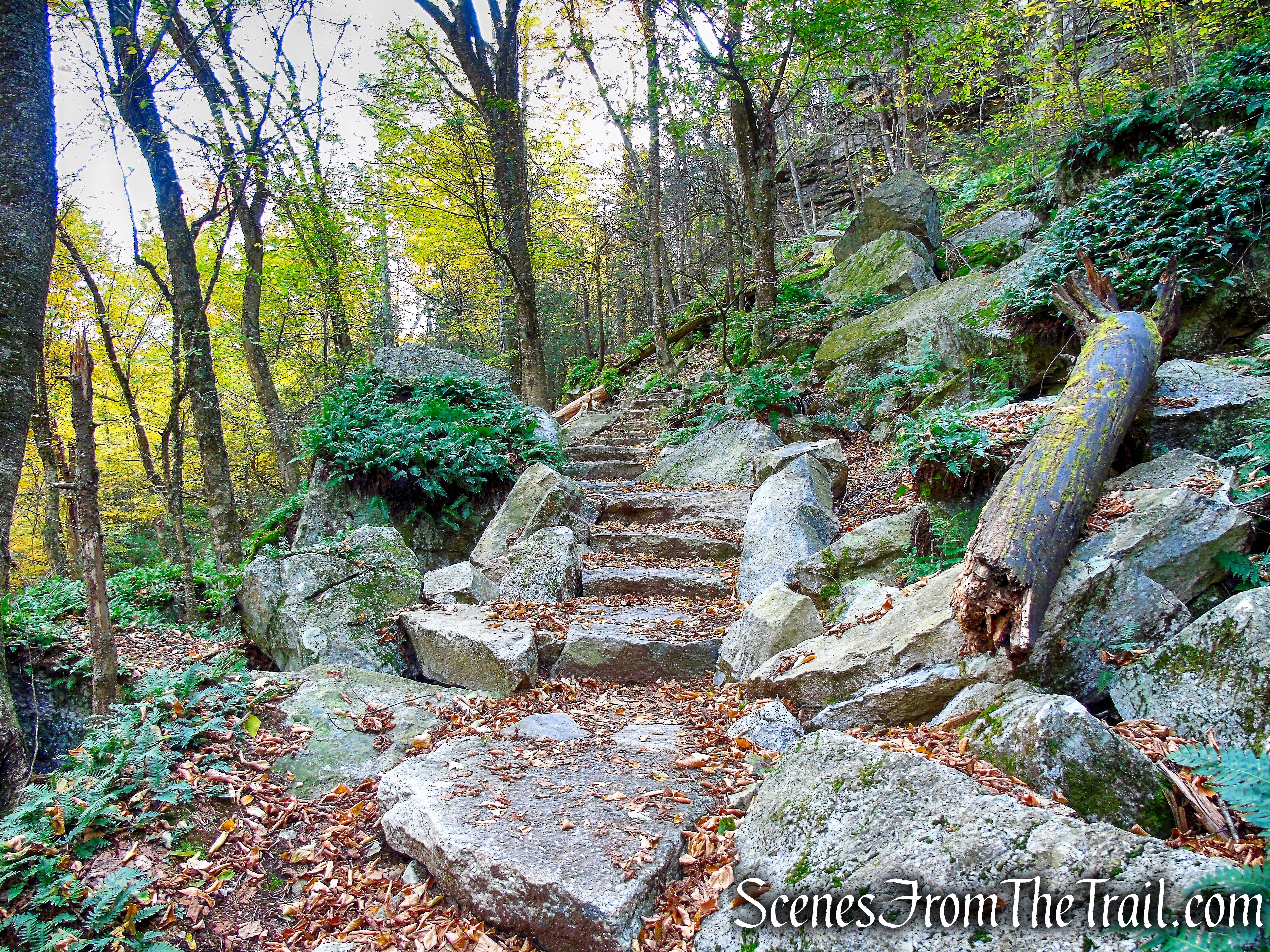 Stony Kill Footpath - Minnewaska State Park Preserve