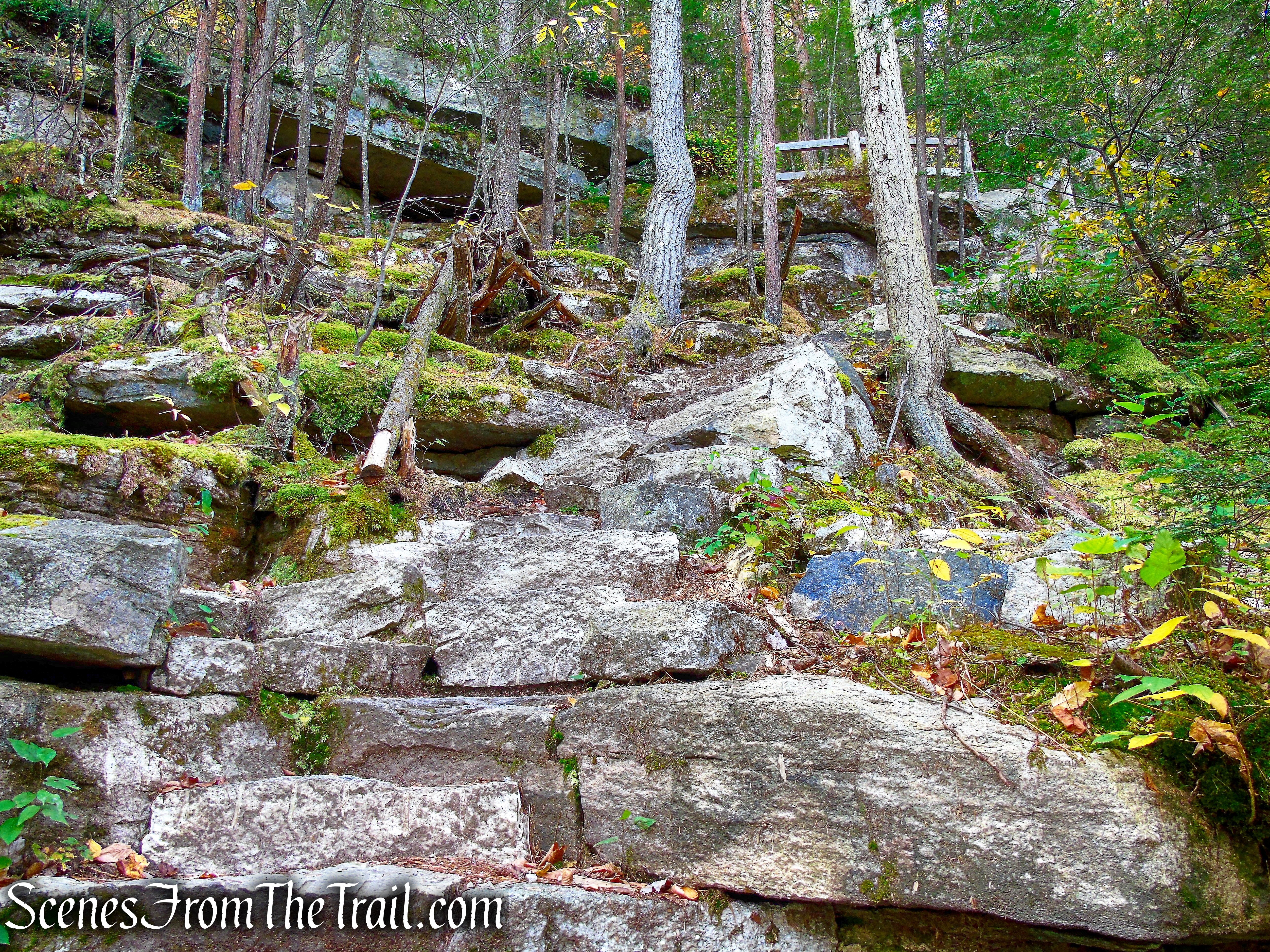 Stony Kill Footpath - Minnewaska State Park Preserve