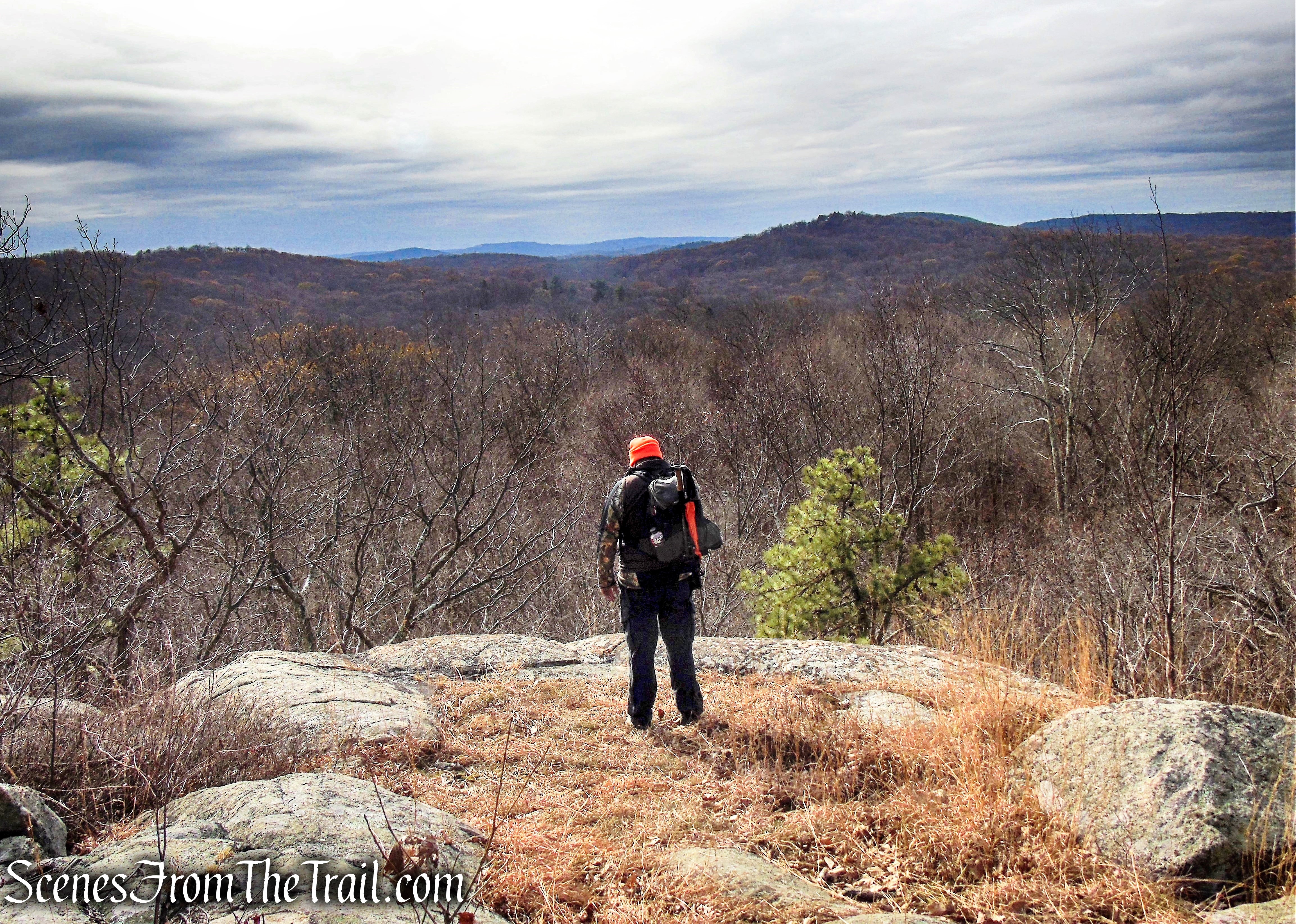 Silas Condict County Park