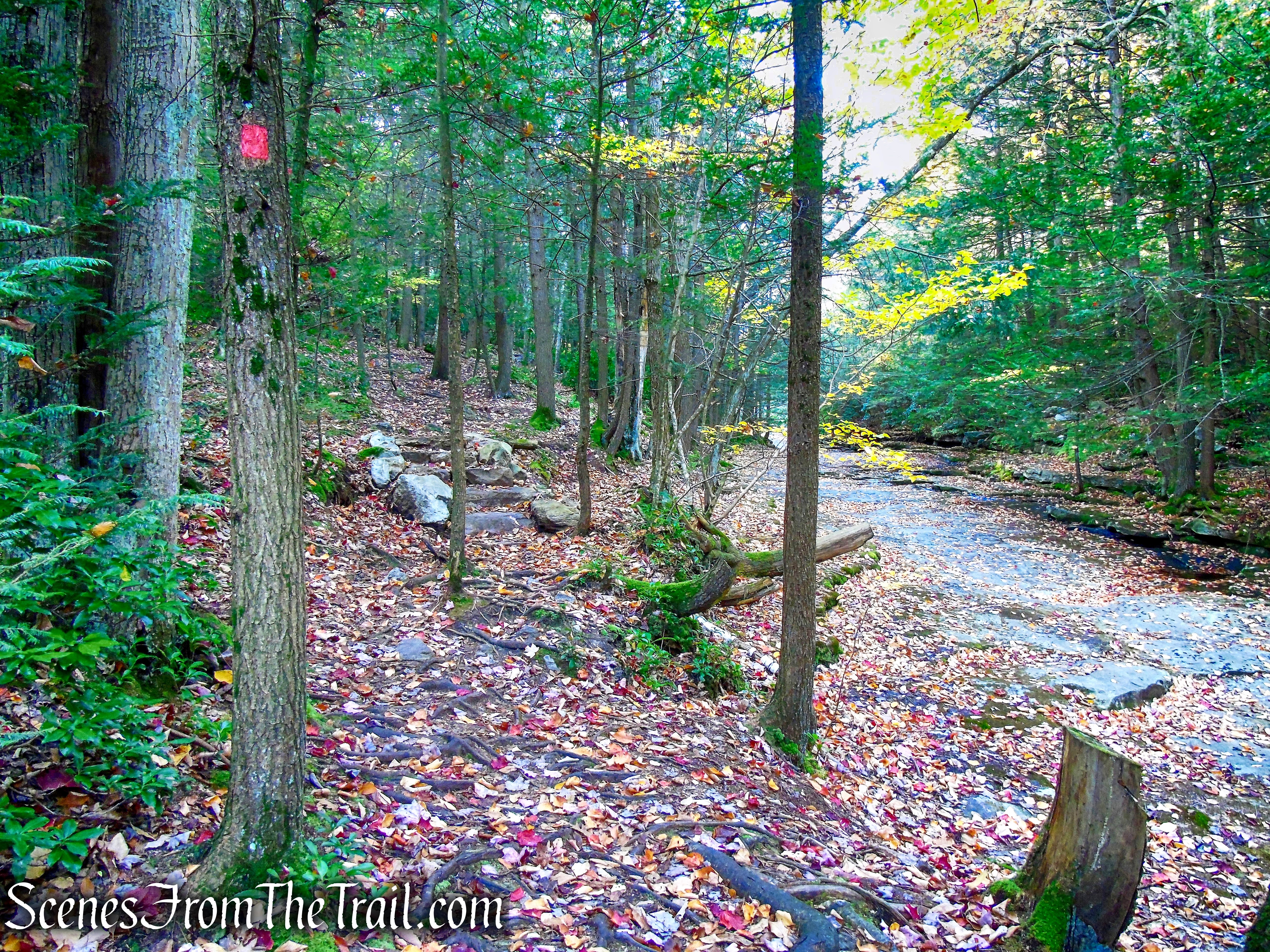 Stony Kill Footpath – Minnewaska State Park Preserve