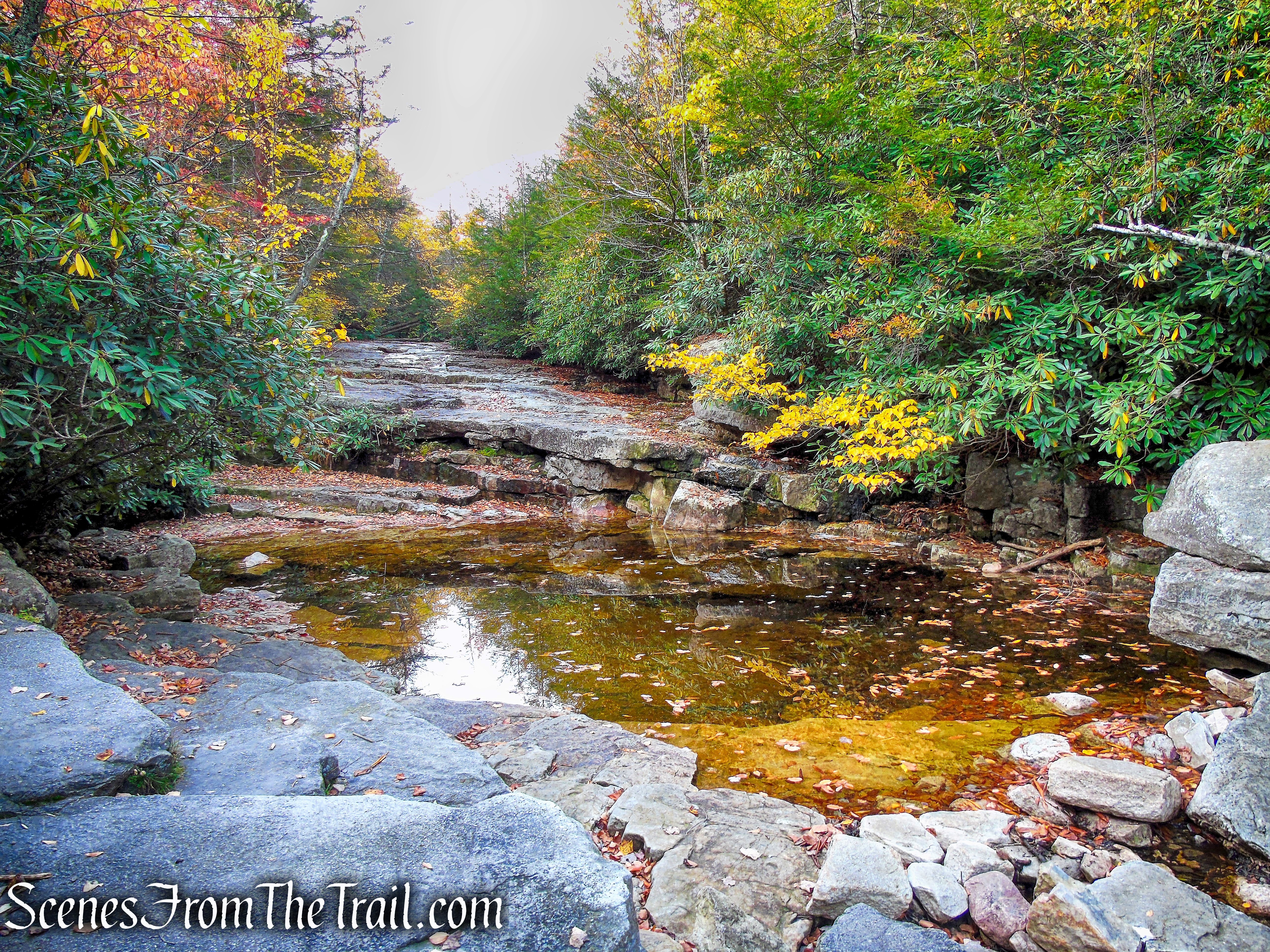 nudist pool – Stony Kill