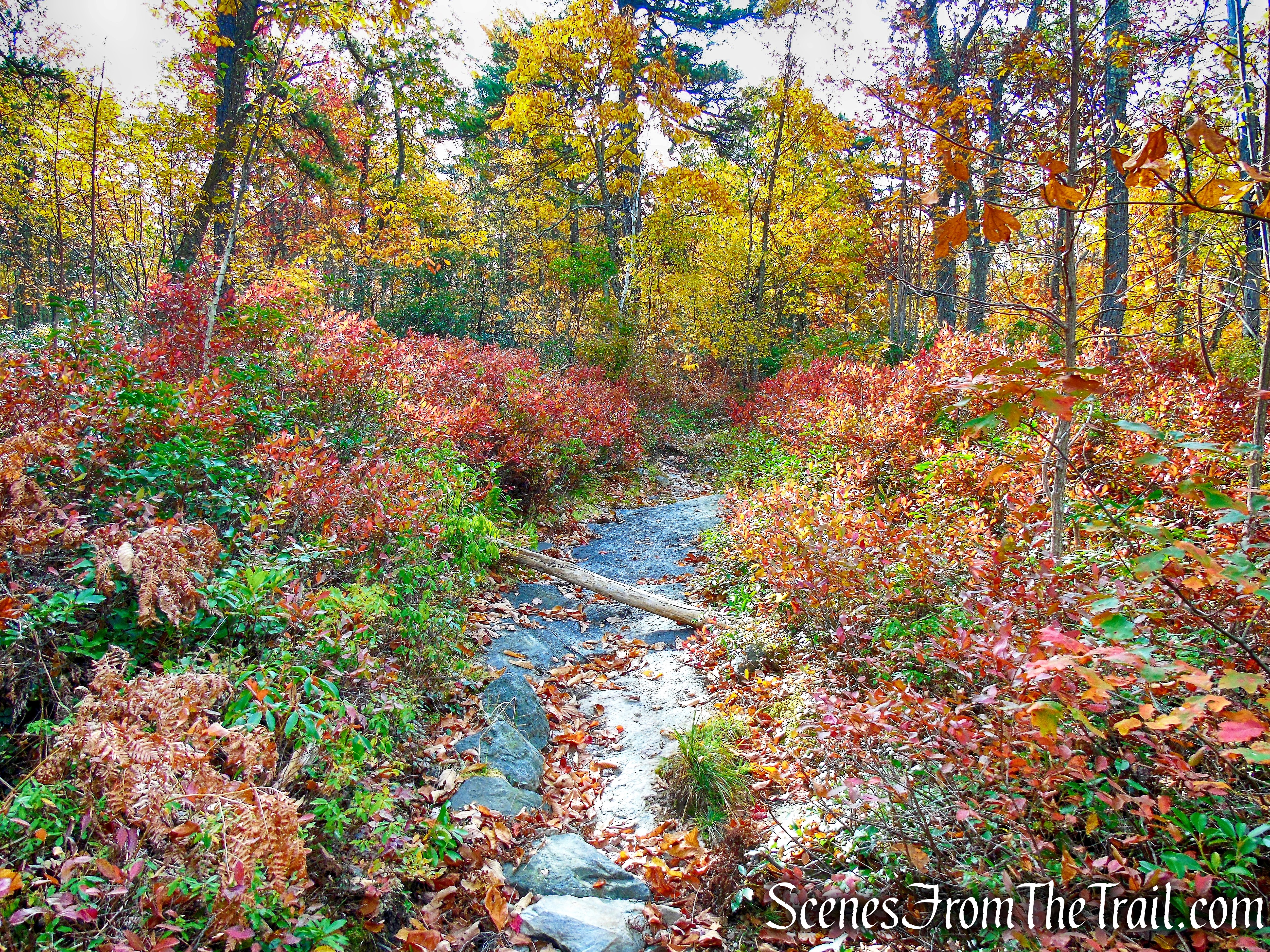 Stony Kill Carriage Road - Minnewaska State Park Preserve