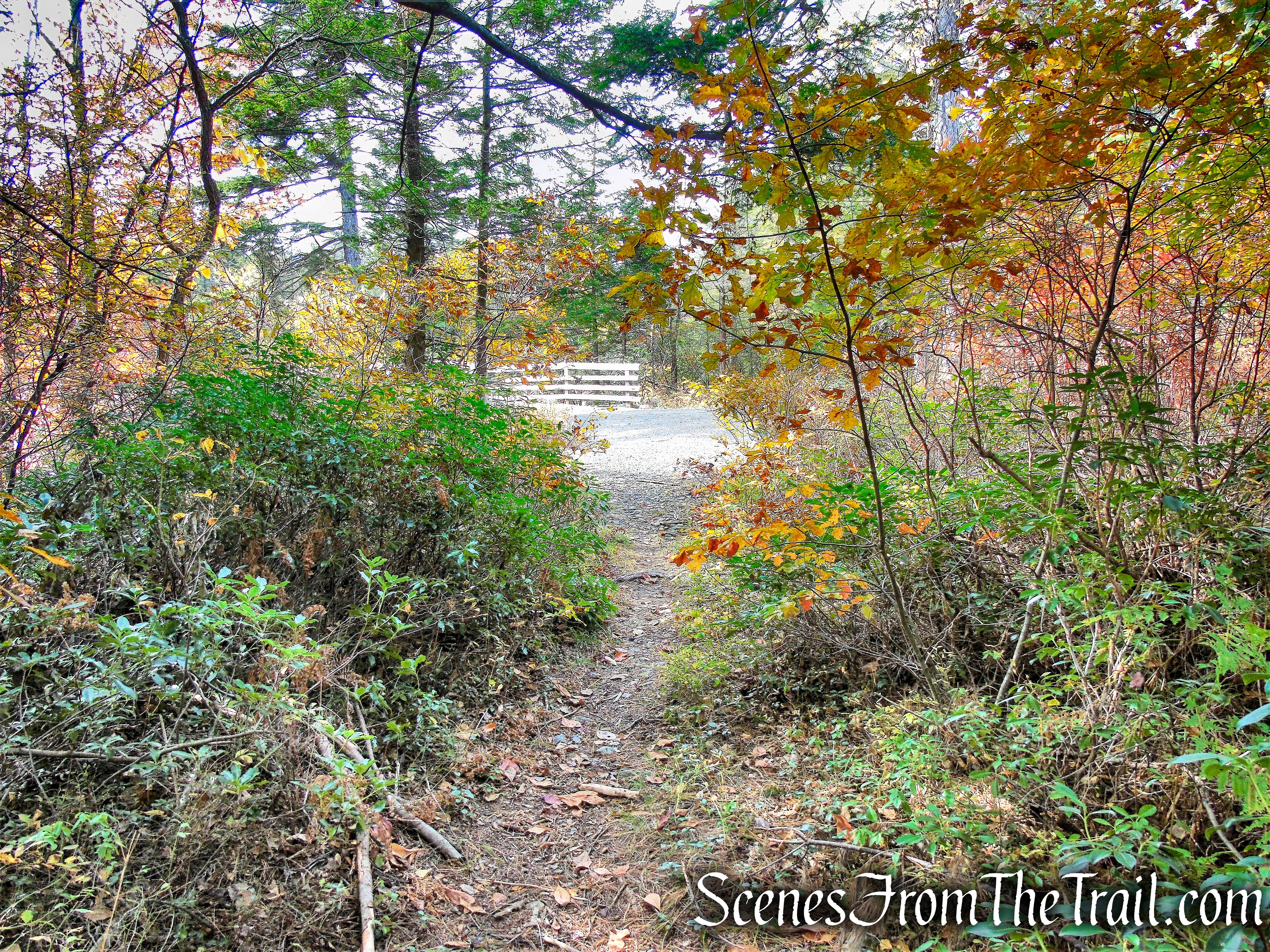 terminus of Stony Kill Carriage Road - Minnewaska State Park Preserve