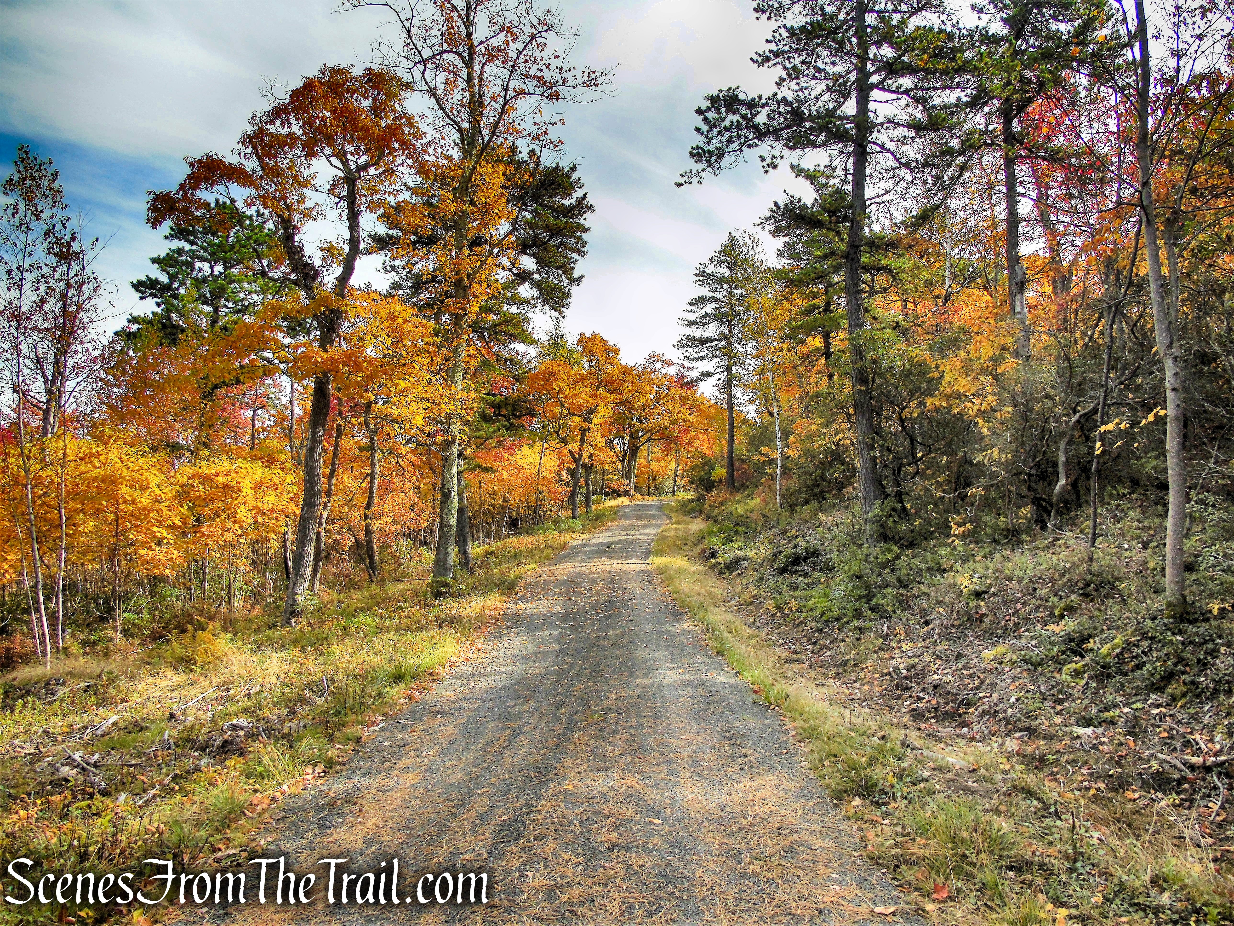 Smiley Carriage Road - Minnewaska State Park Preserve