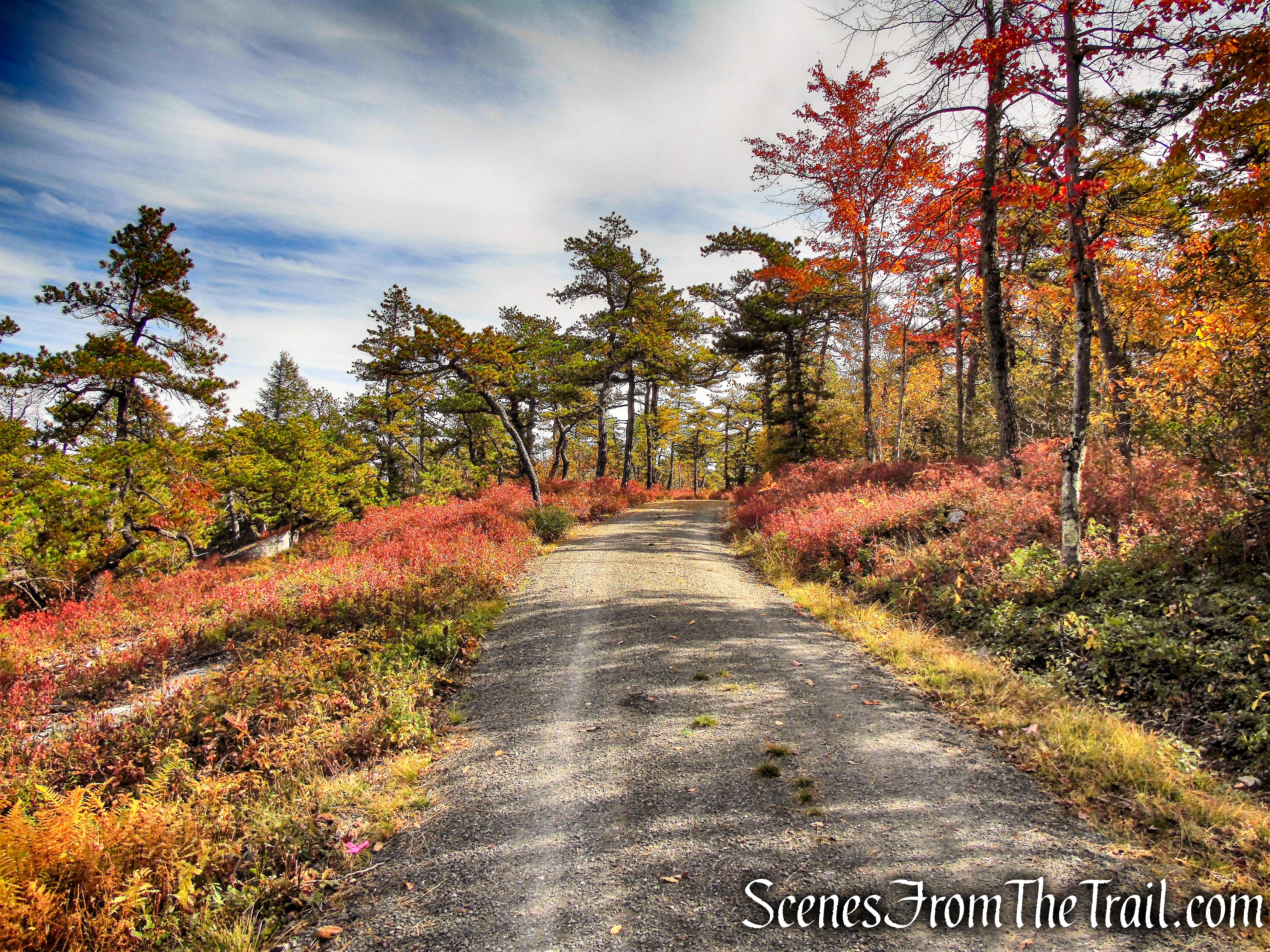 Smiley Carriage Road - Minnewaska State Park Preserve