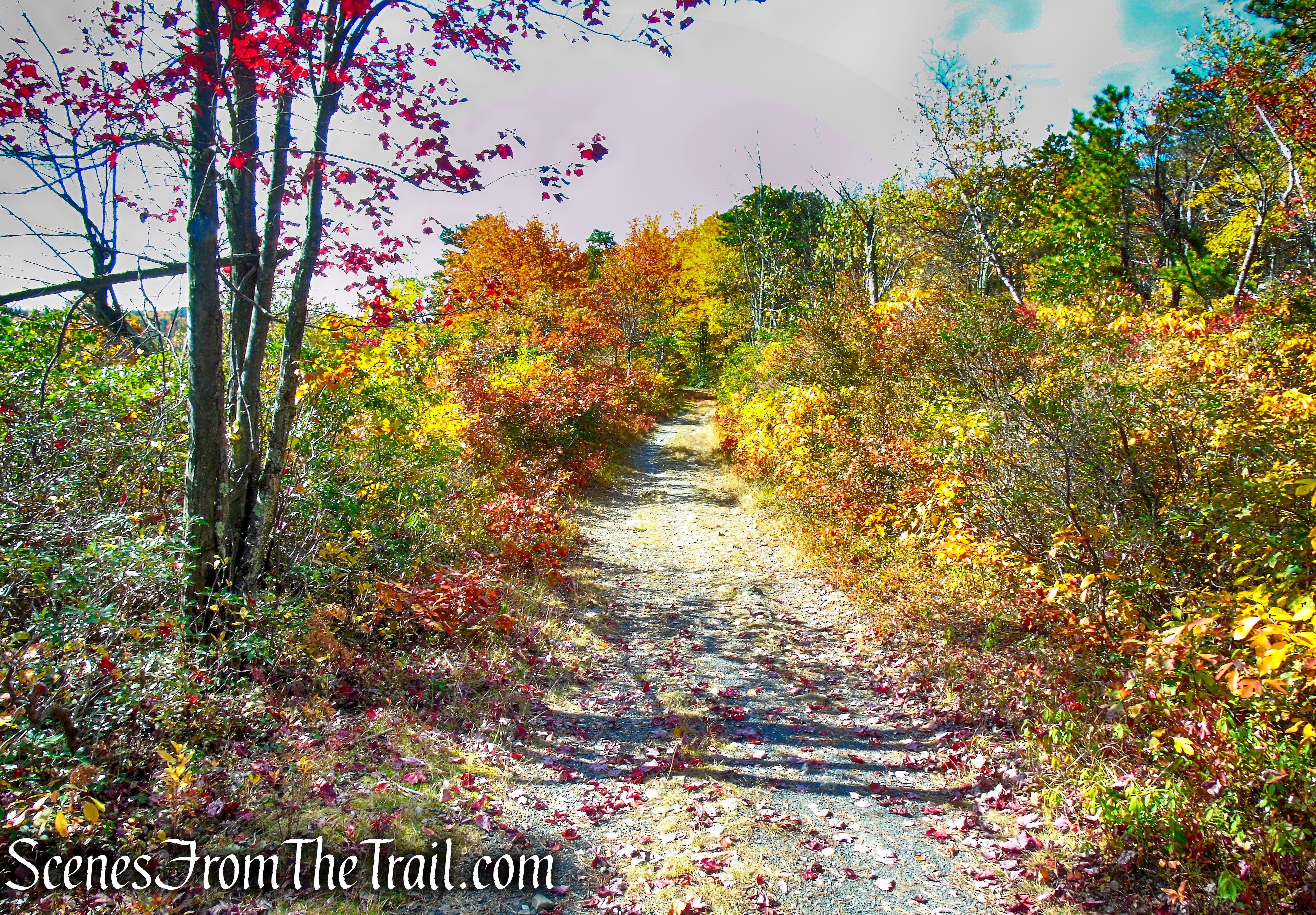 Lake Awosting Carriage Road - Minnewaska State Park Preserve