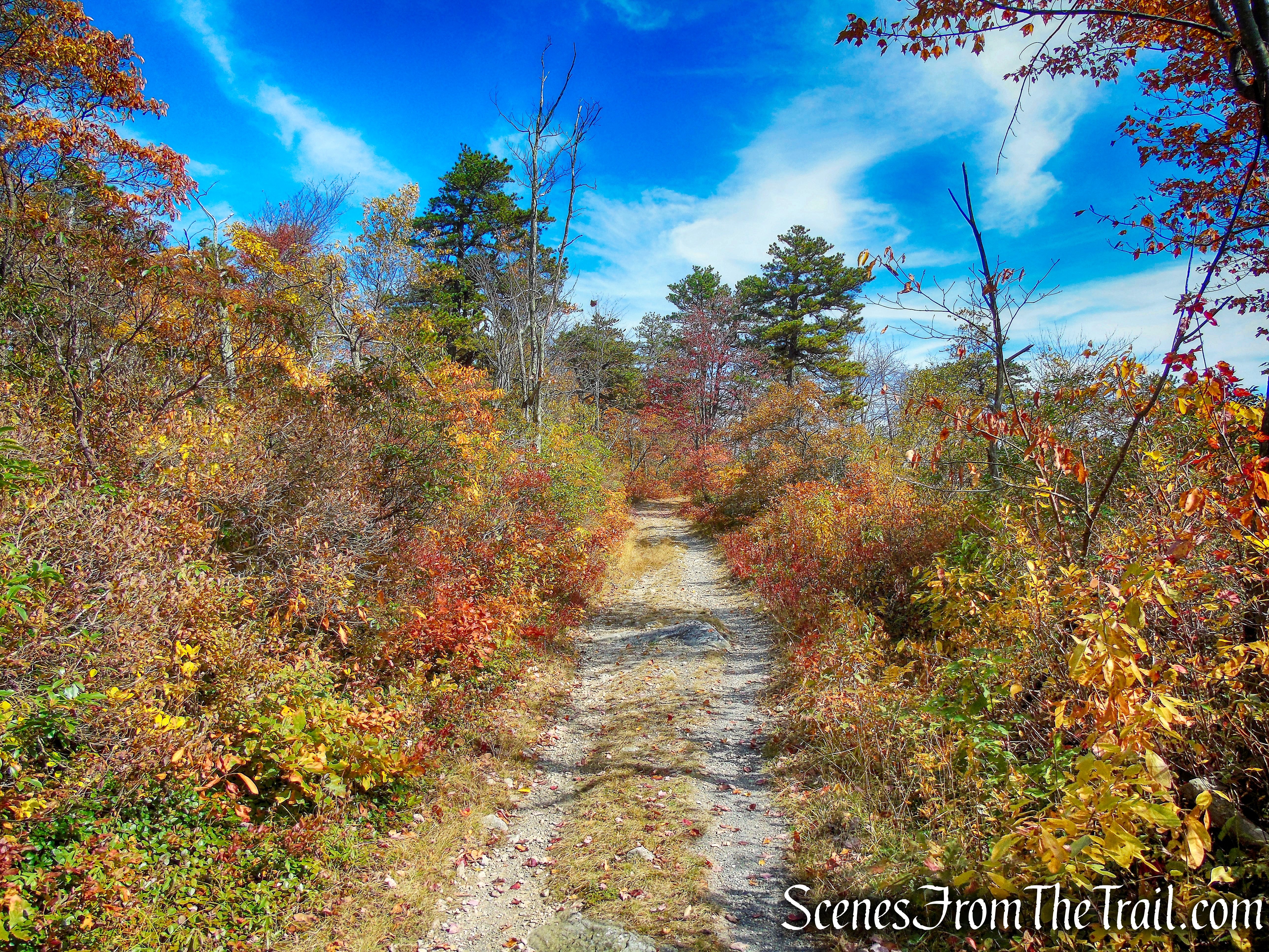 Lake Awosting Carriage Road - Minnewaska State Park Preserve