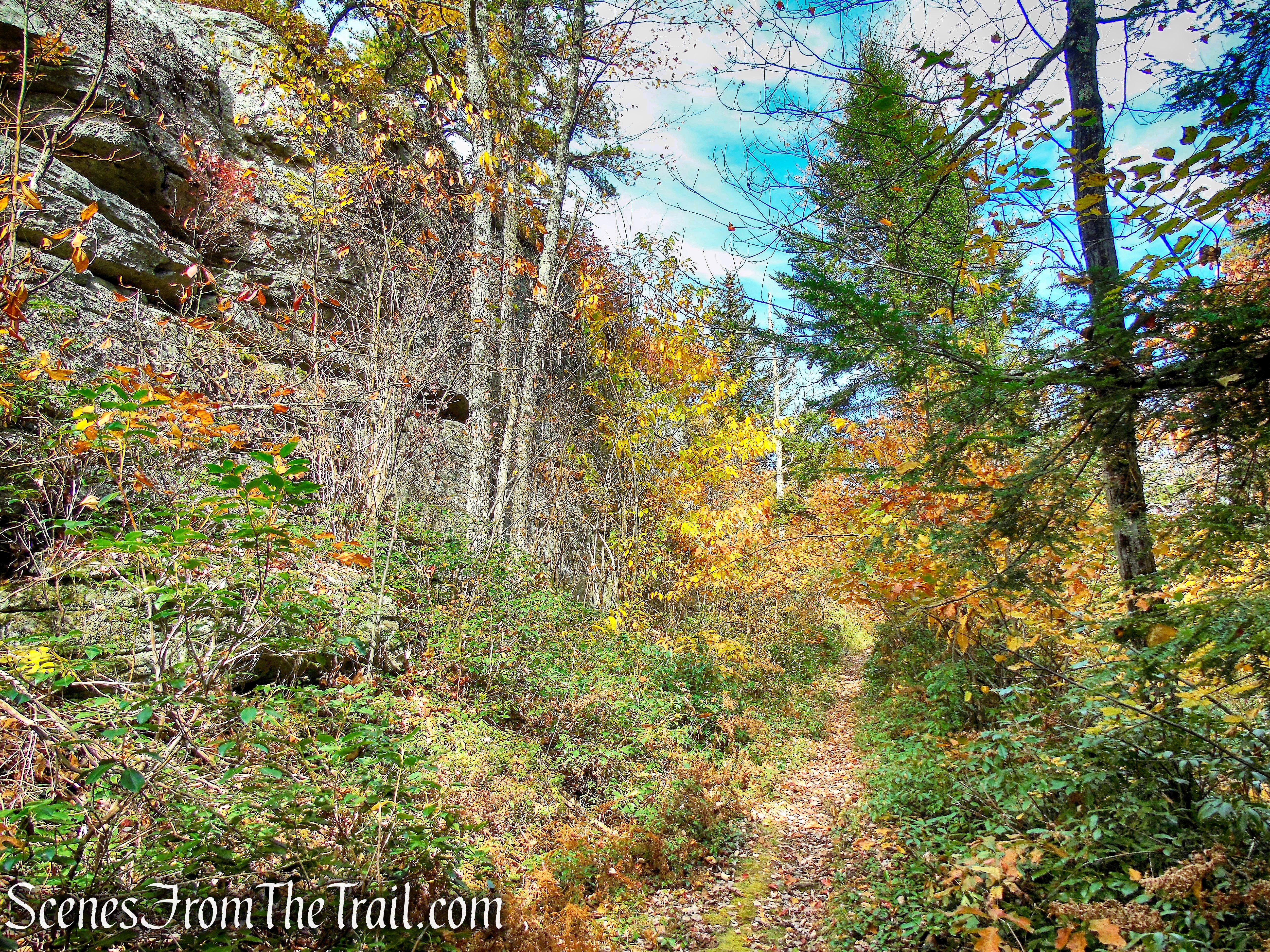 Stony Kill Carriage Road - Minnewaska State Park Preserve